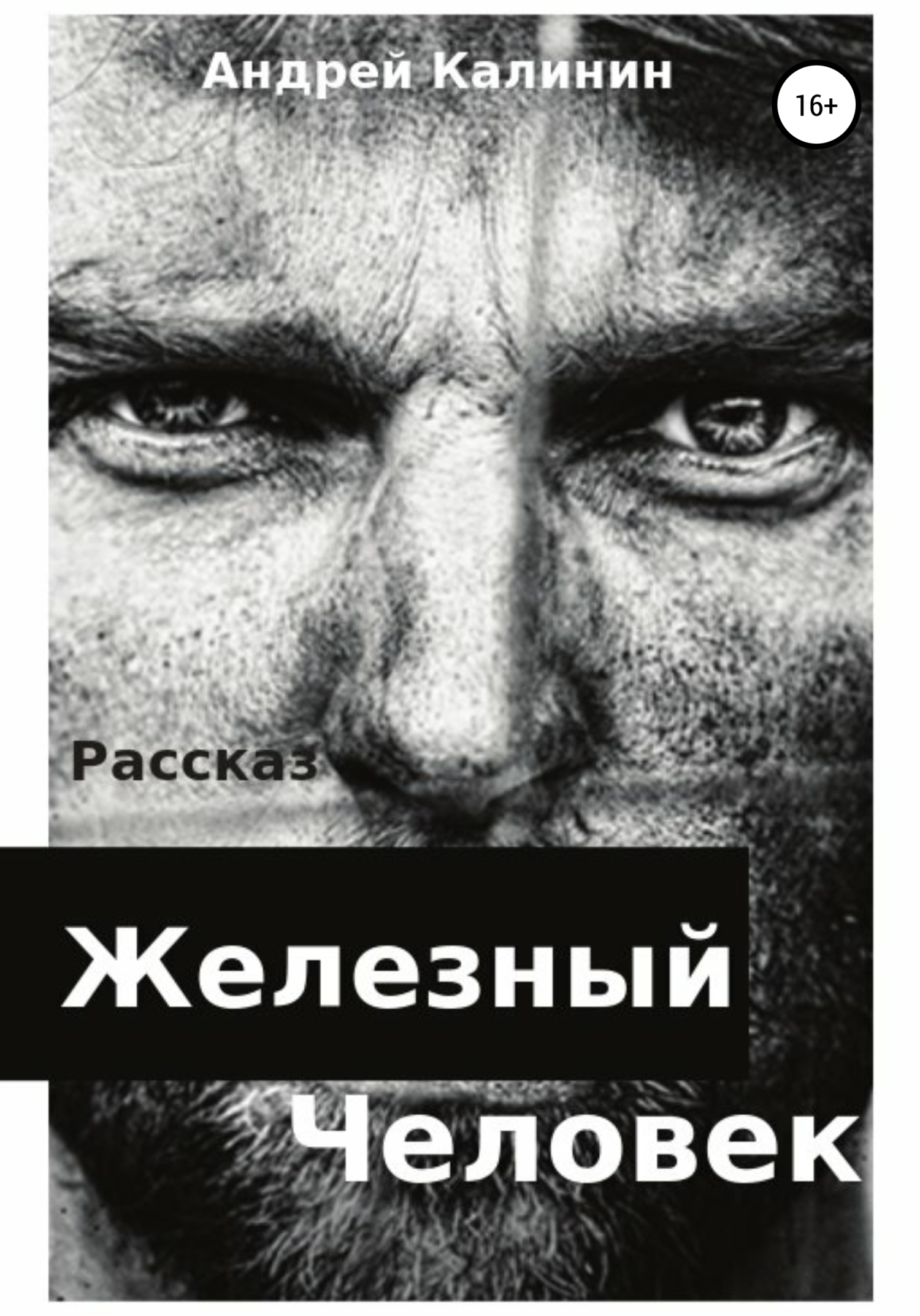 Обложка книги «Железный Человек»