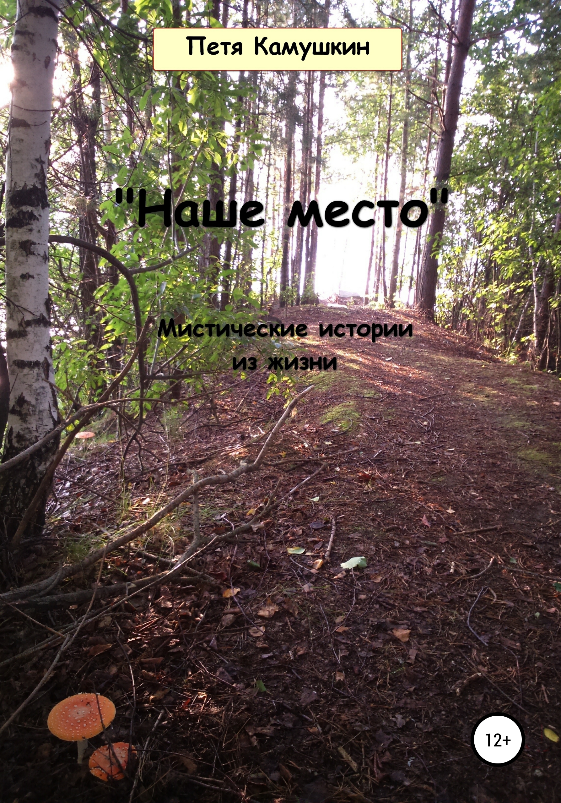 Обложка книги «Наше место»