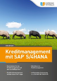 Обложка книги «Kreditmanagement mit SAP S/4HANA»