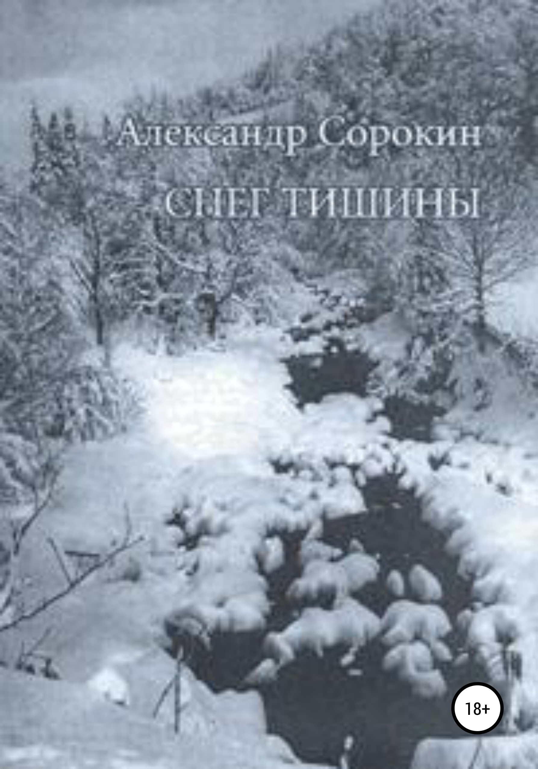 Обложка книги «Снег тишины»