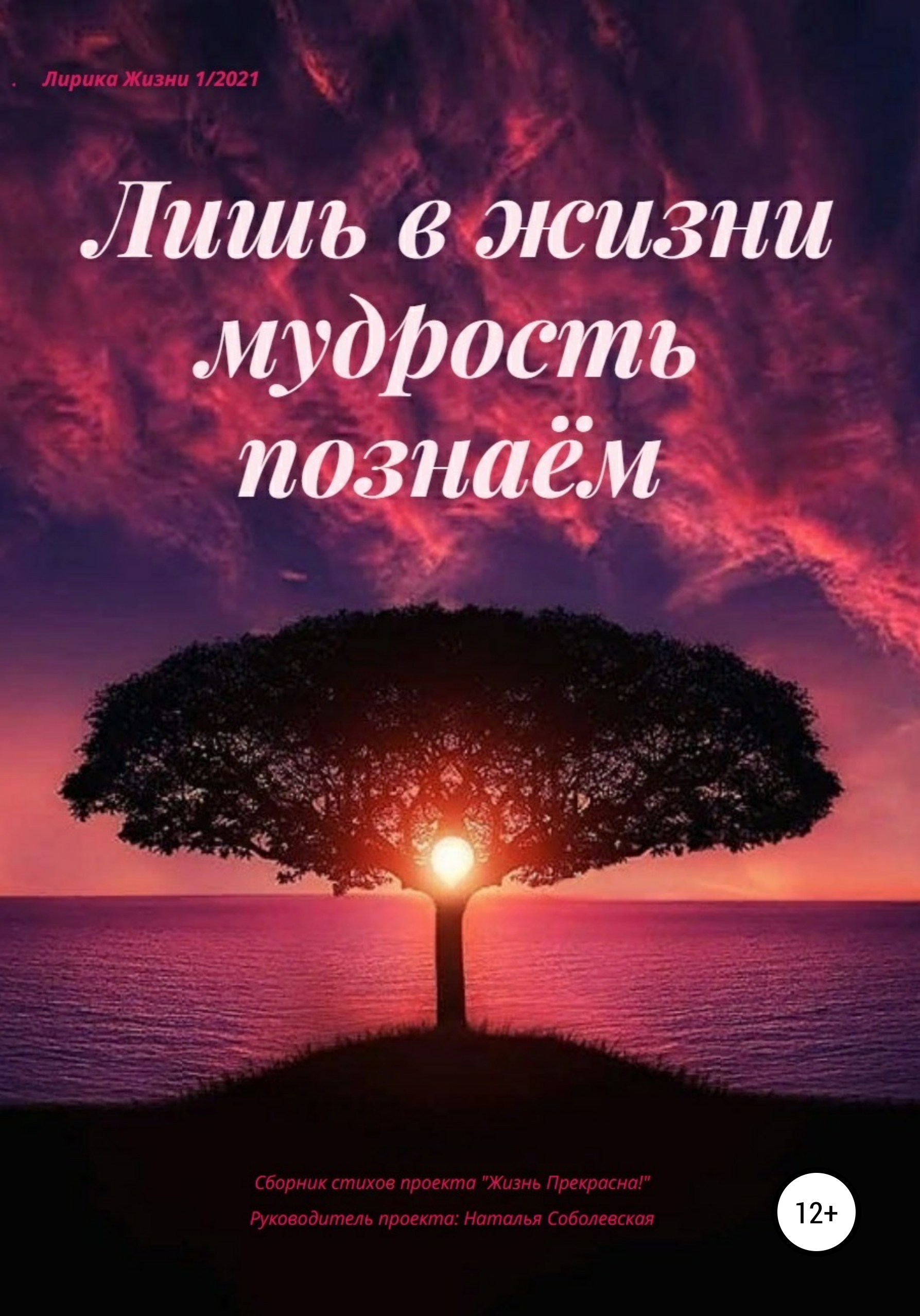 Обложка книги «Лишь в жизни мудрость познаём»