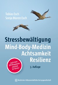 Обложка книги «Stressbewältigung»