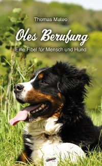 Обложка книги «Oles Berufung»