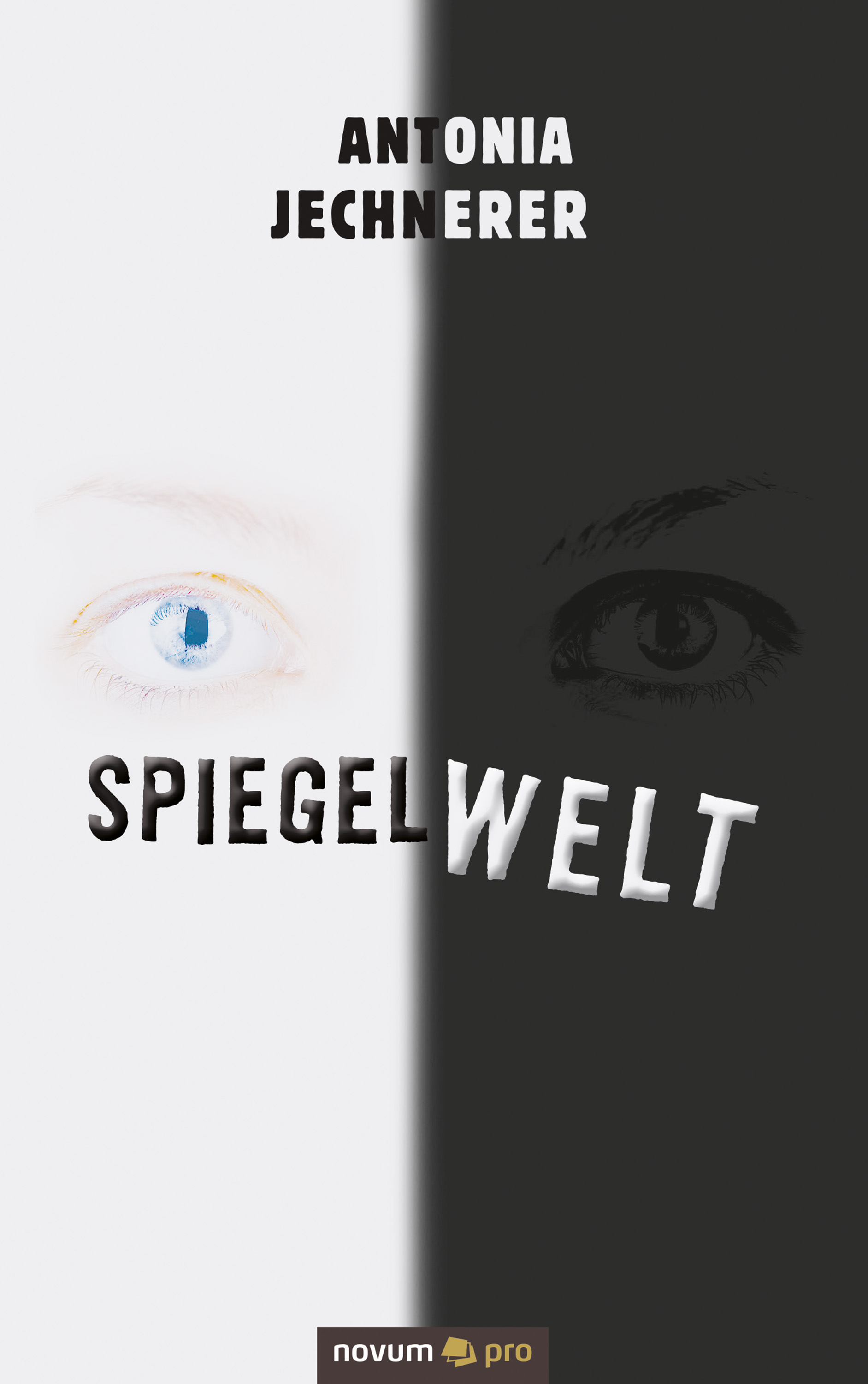 Обложка книги «Spiegelwelt»