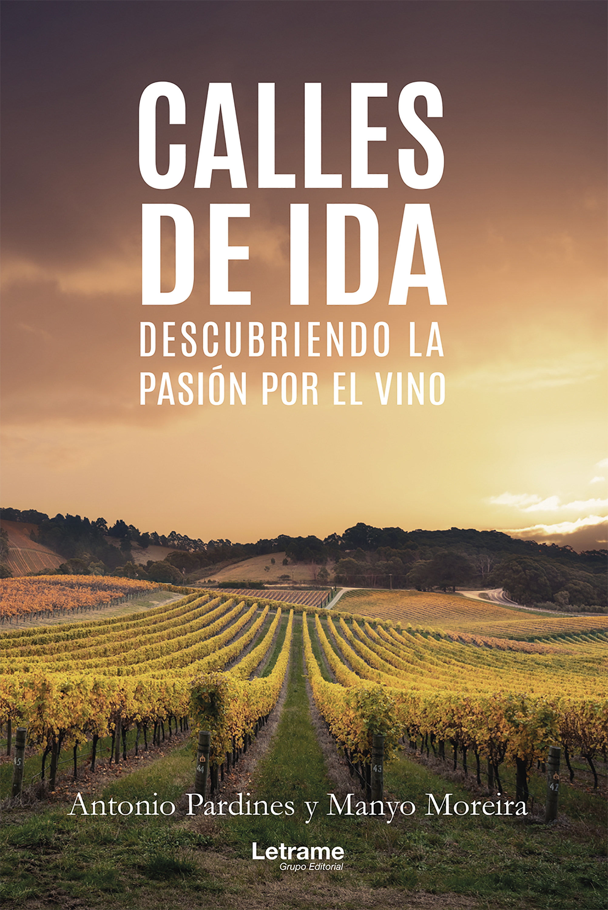 Обложка книги «Calles de ida»