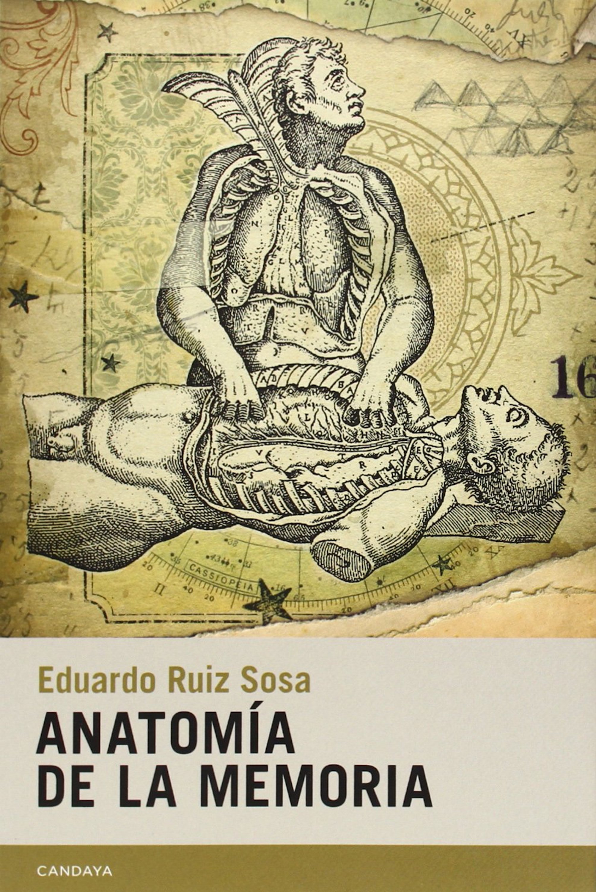 Обложка книги «Anatomía de la memoria»