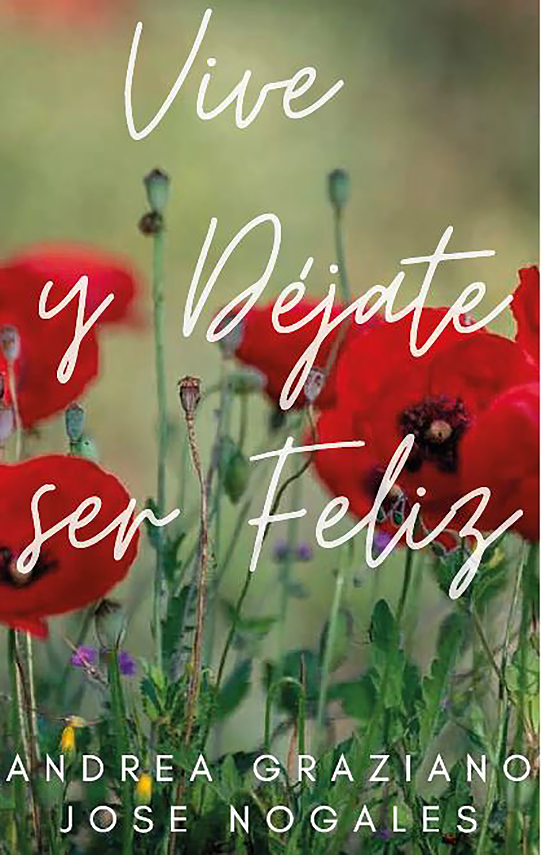 Обложка книги «Vive y déjate ser feliz»