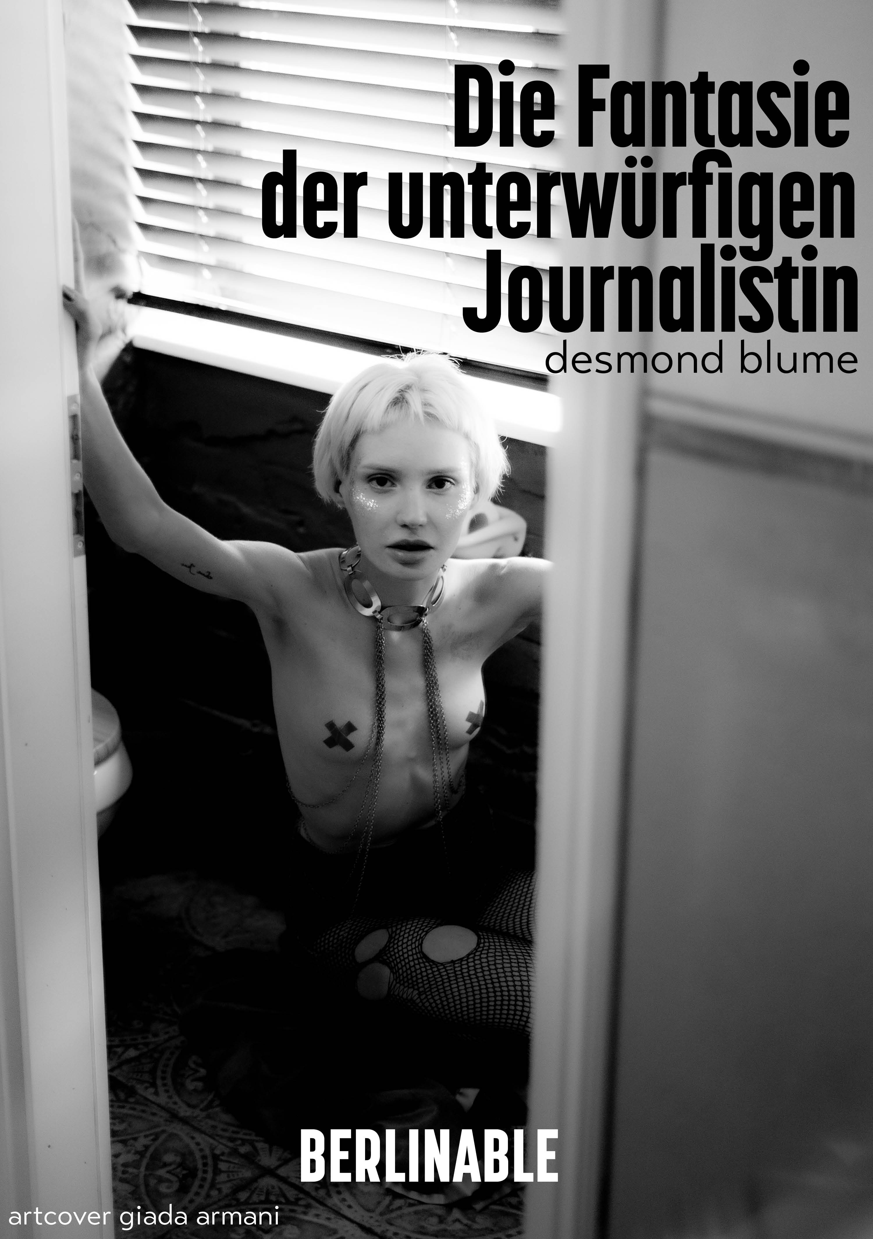 Обложка книги «Die Fantasie der unterwürfigen Journalistin»