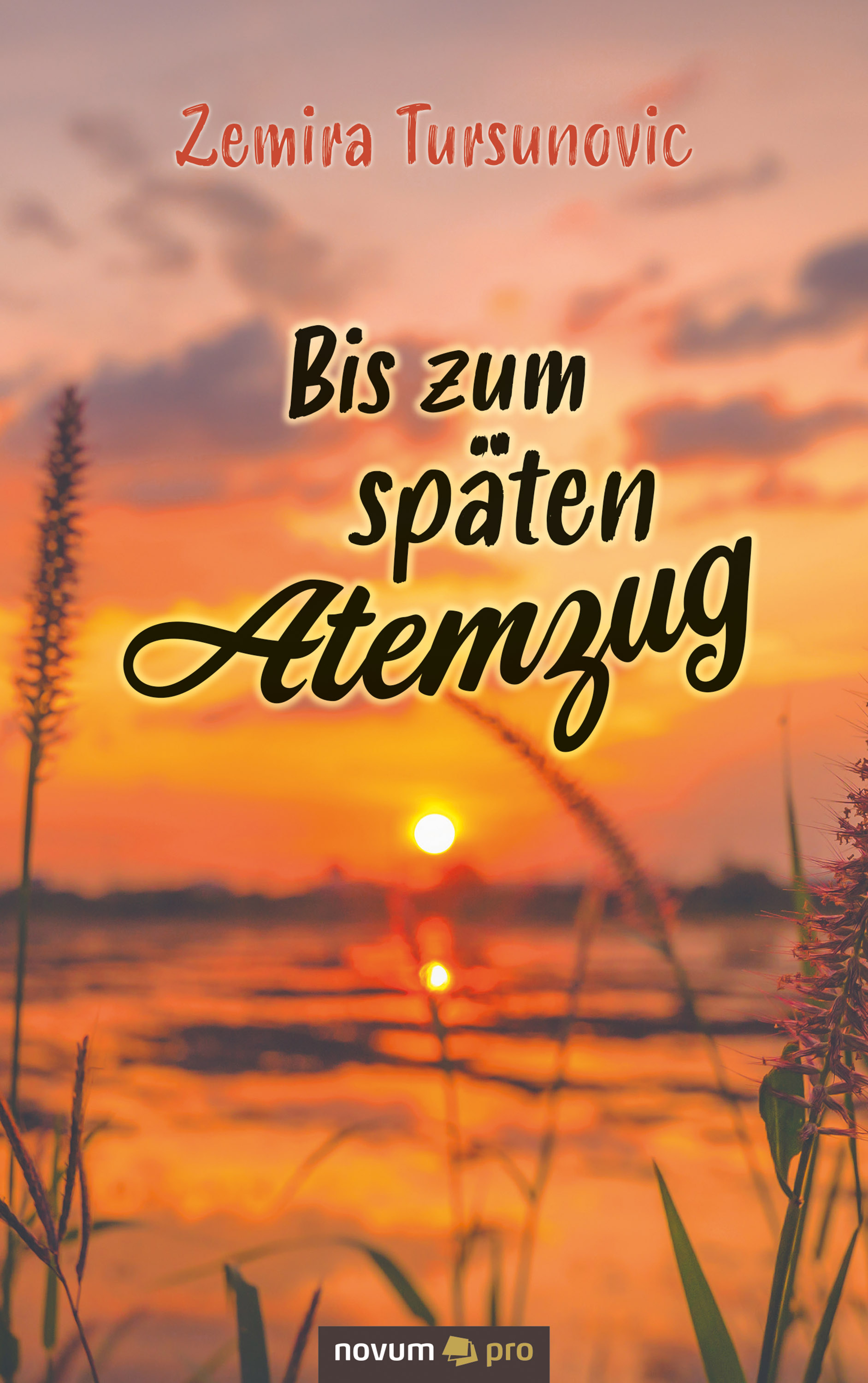 Обложка книги «Bis zum späten Atemzug»
