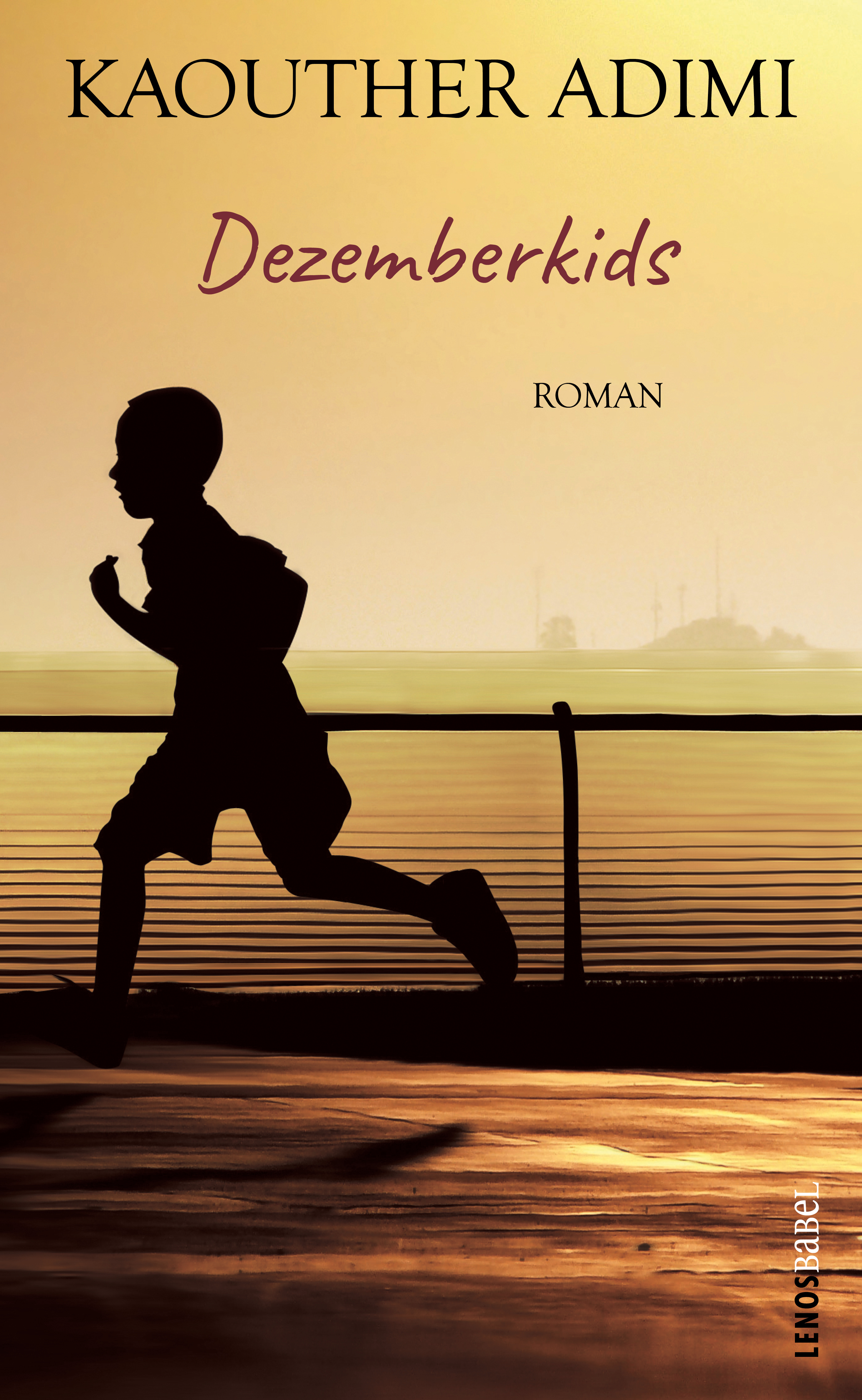 Обложка книги «Dezemberkids»