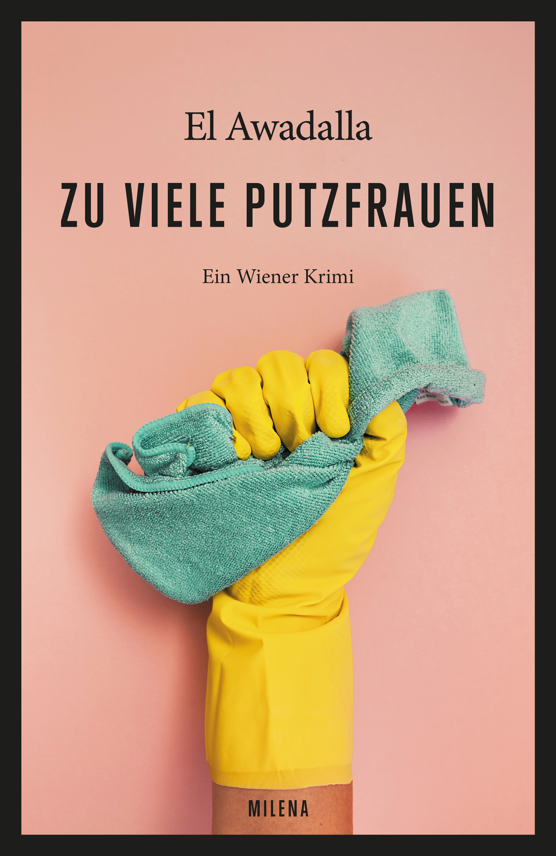 Обложка книги «Zu viele Putzfrauen»