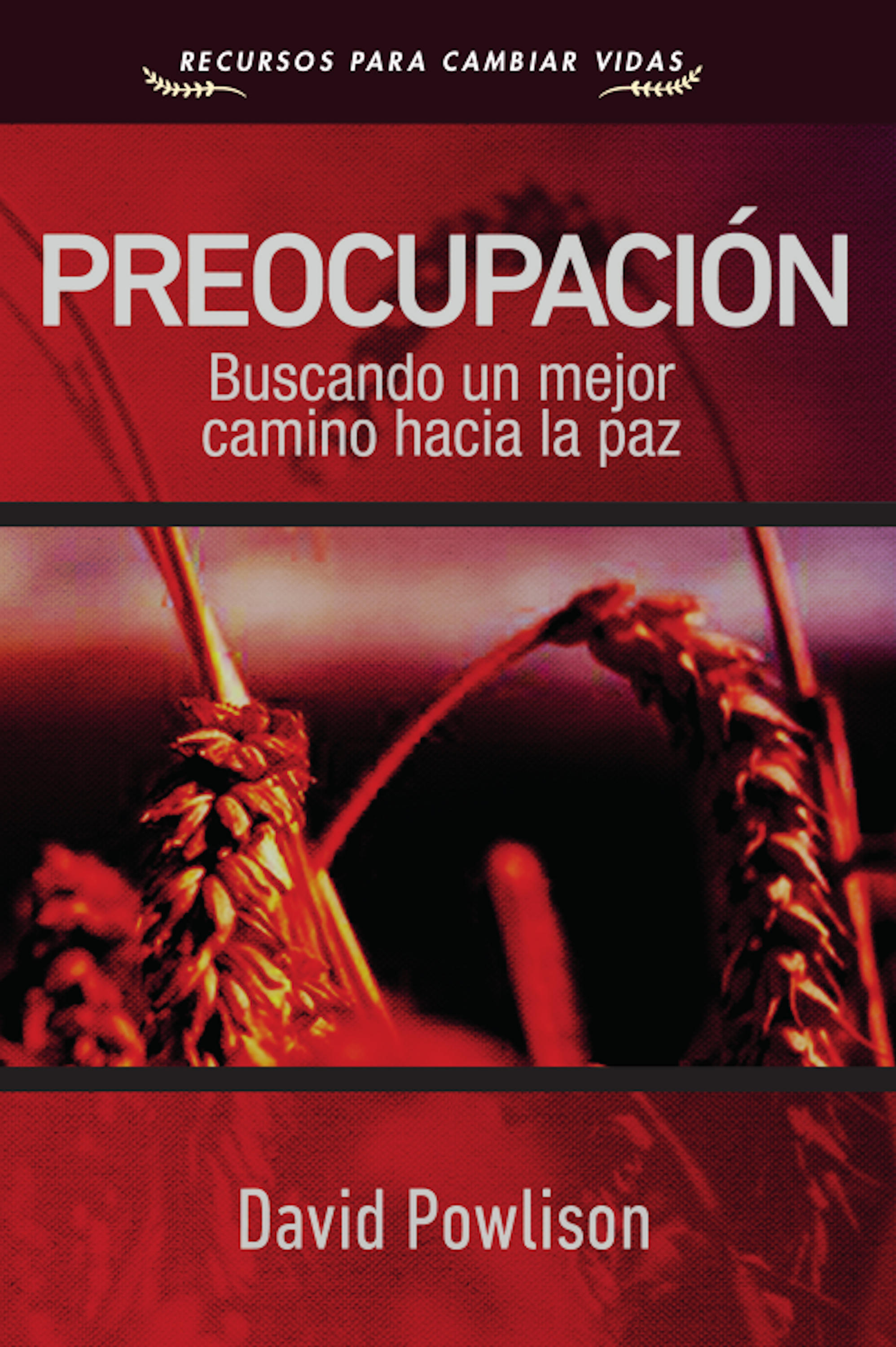 Обложка книги «Preocupación - Buscando un mejor camino hacia la paz»