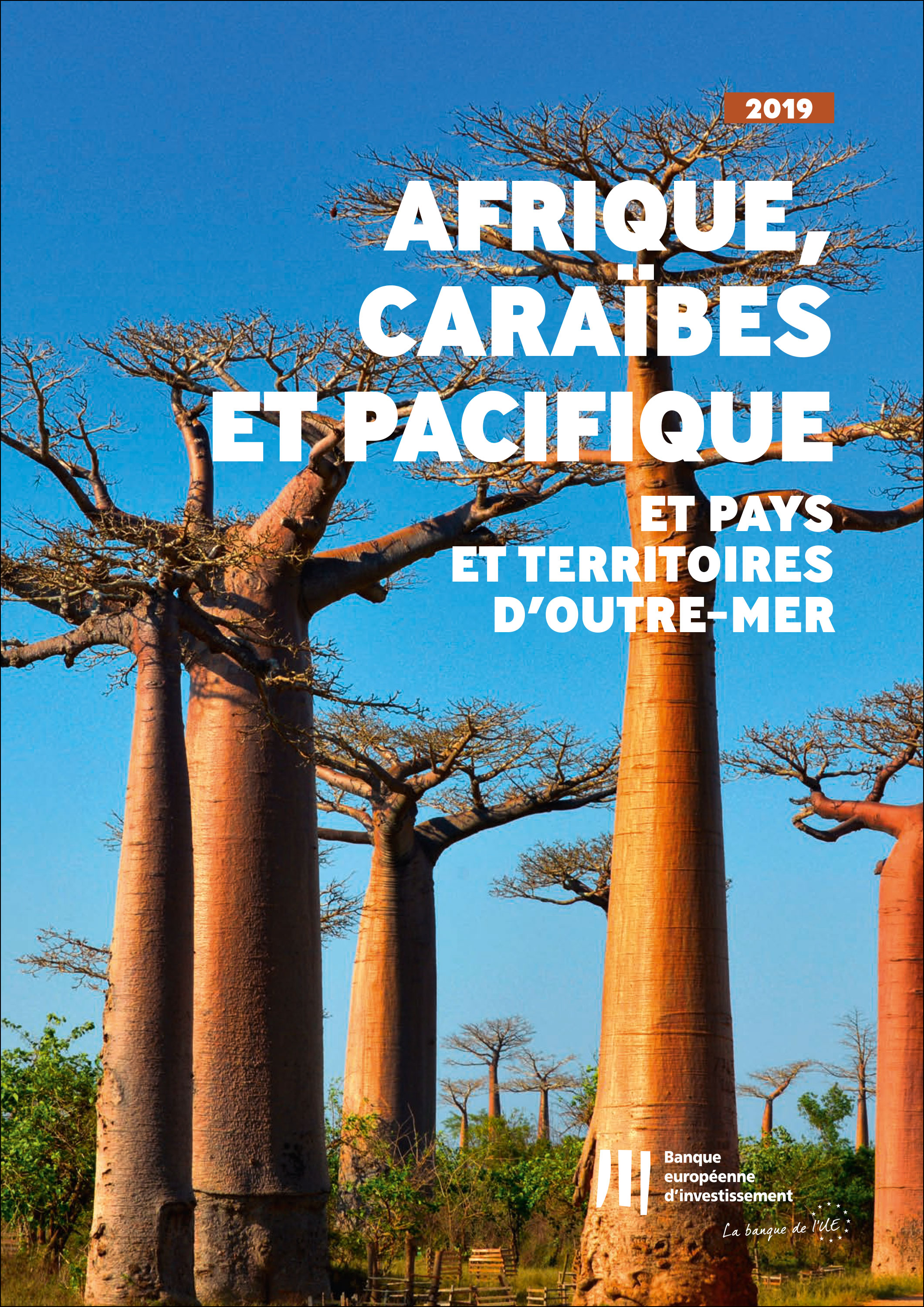 Обложка книги «Activité de la BEI en Afrique, Caraïbes et Pacifique et pays et territoires d'outre-mer»