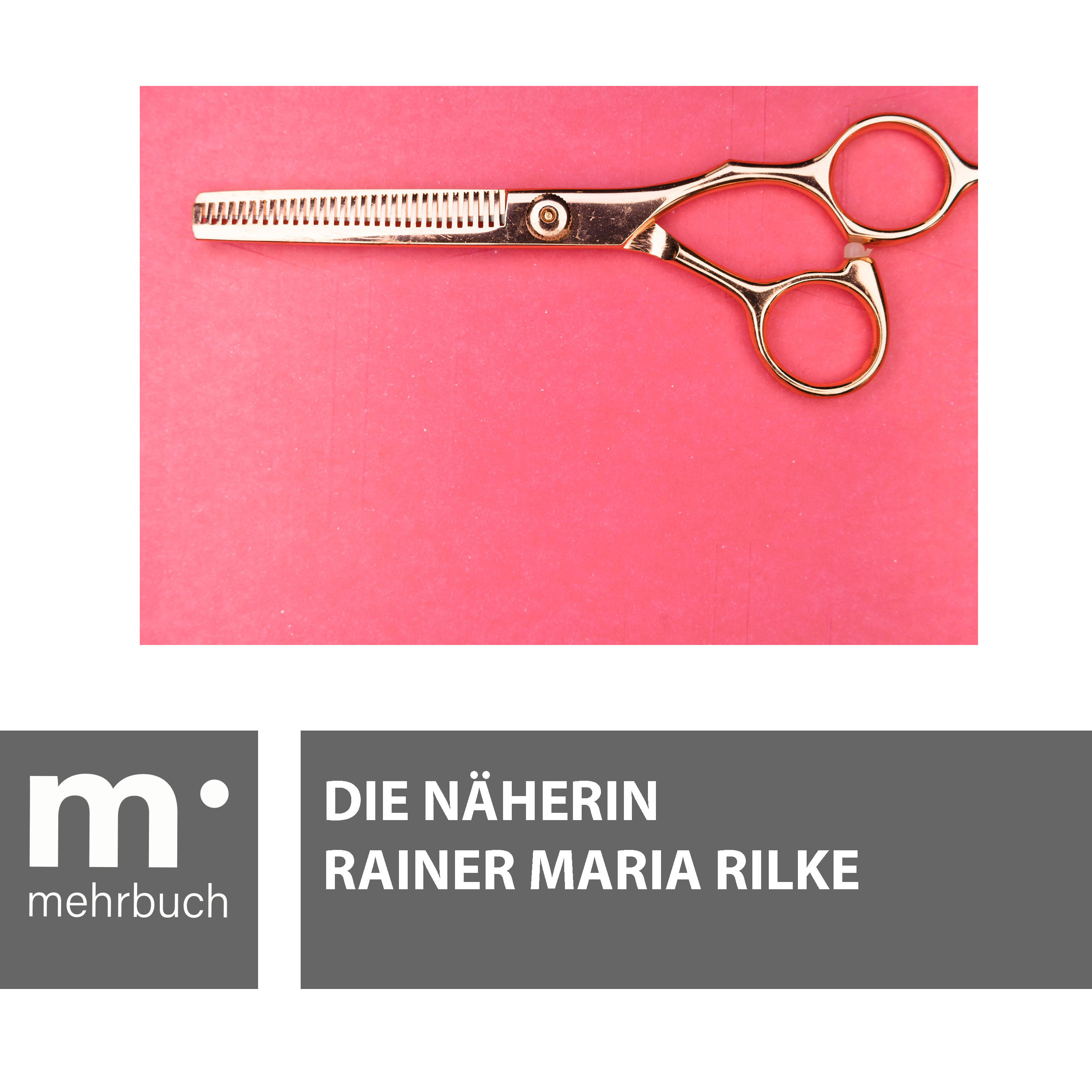 Обложка книги «Die Näherin»
