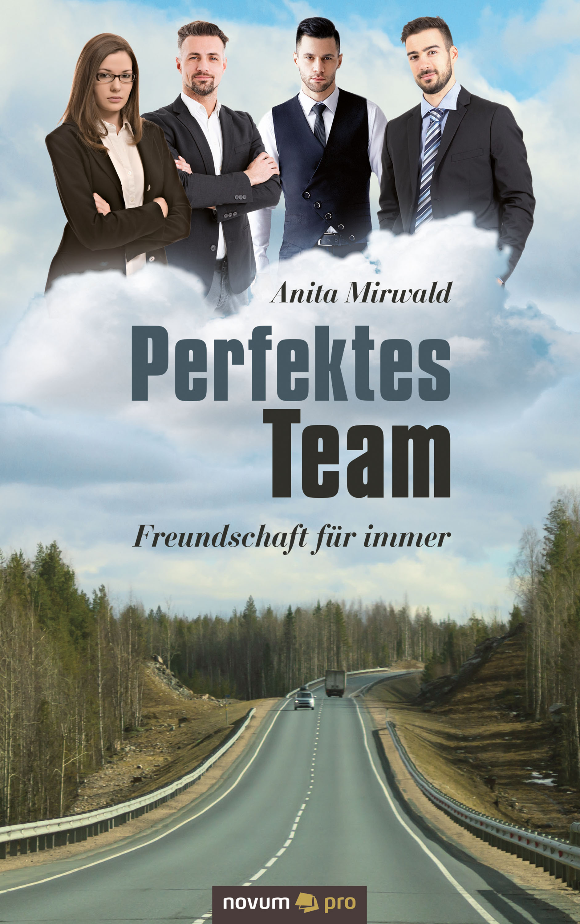 Обложка книги «Perfektes Team»