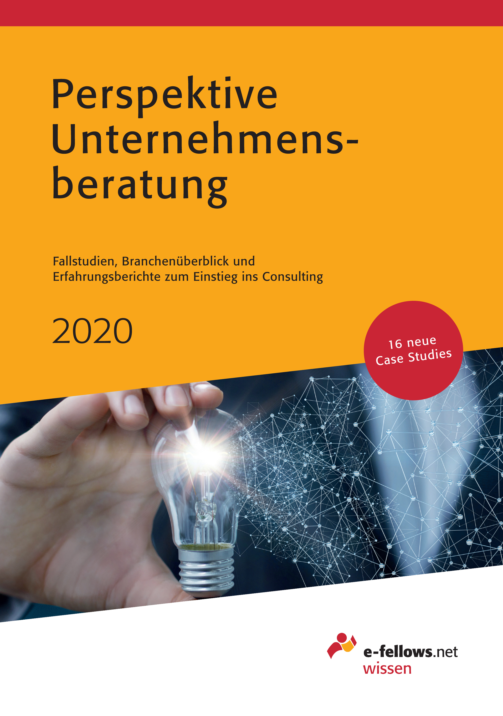 Обложка книги «Perspektive Unternehmensberatung 2020»