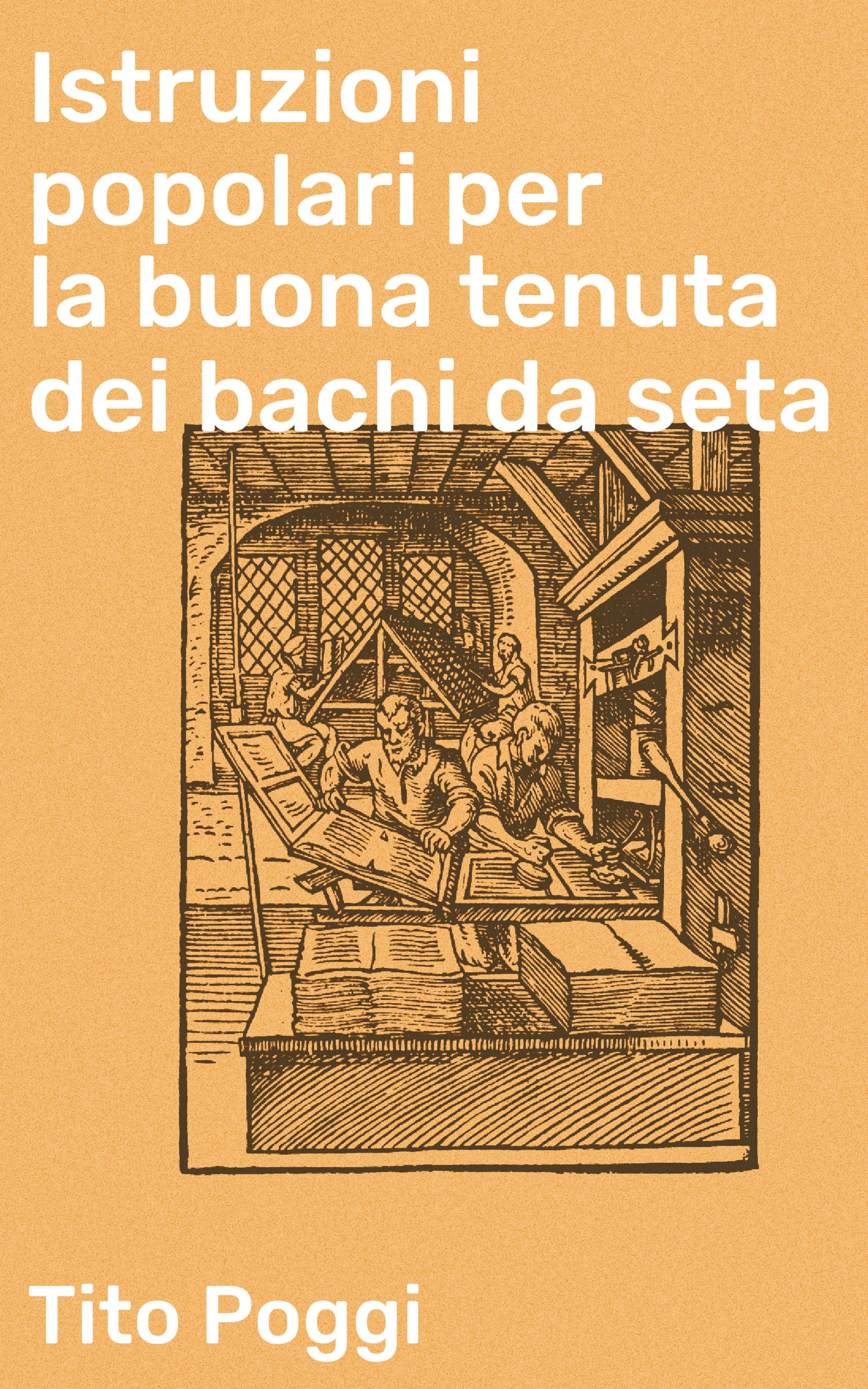 Обложка книги «Istruzioni popolari per la buona tenuta dei bachi da seta»