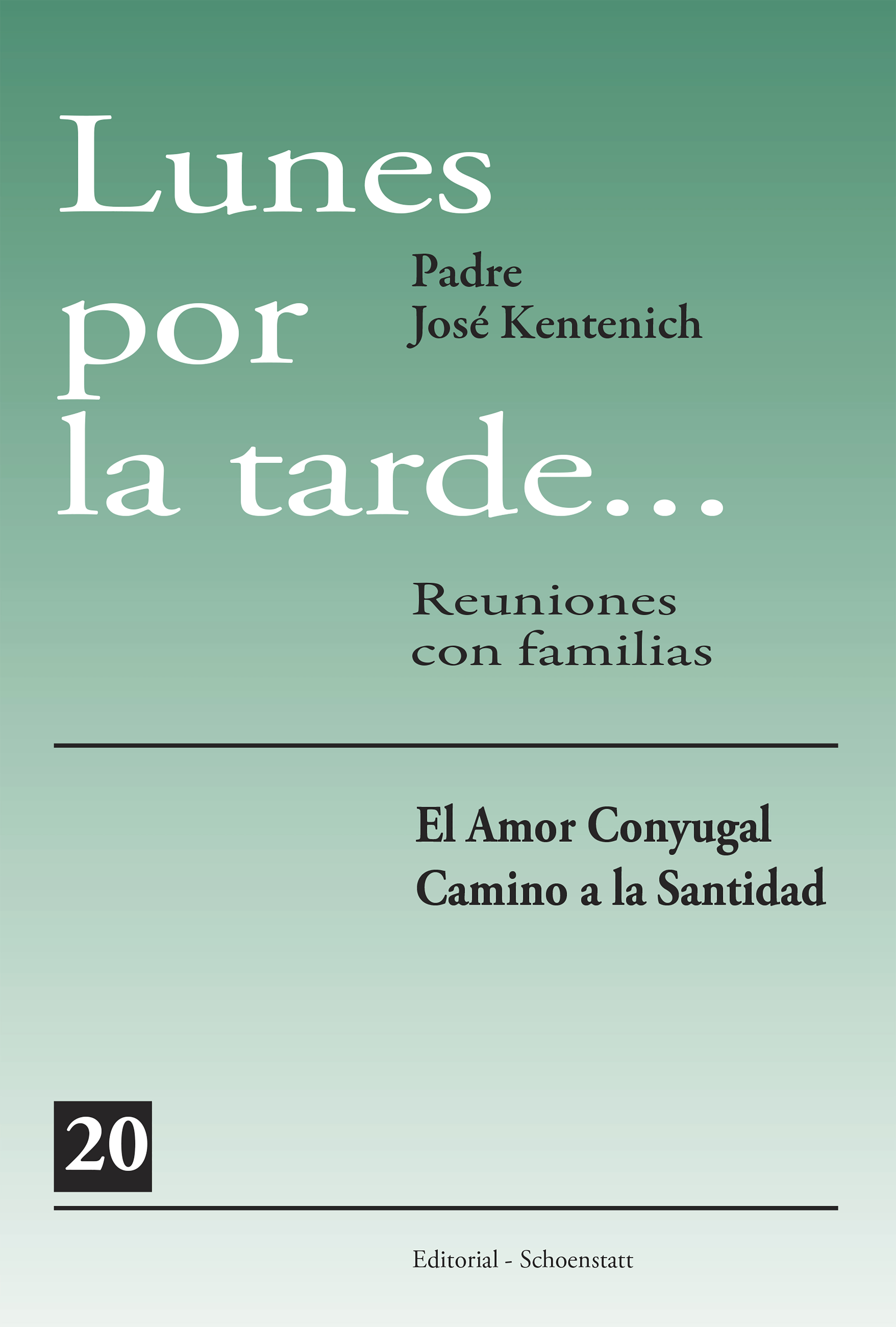 Обложка книги «Lunes por la tarde 20»