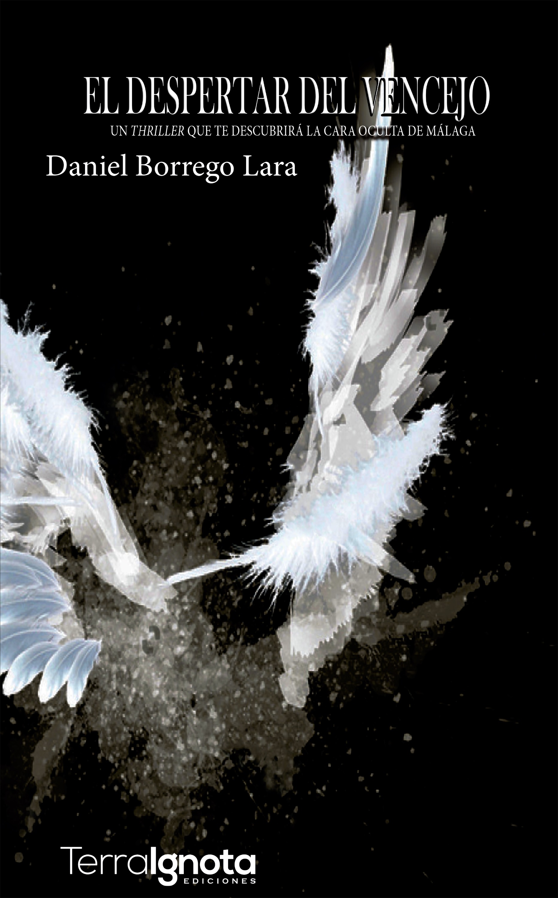 Обложка книги «El despertar del vencejo»