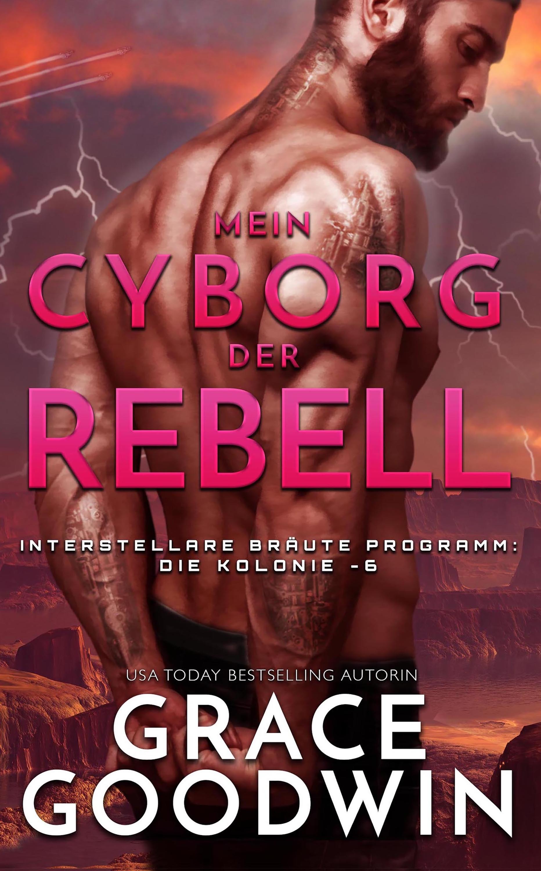 Обложка книги «Mein Cyborg, der Rebell»