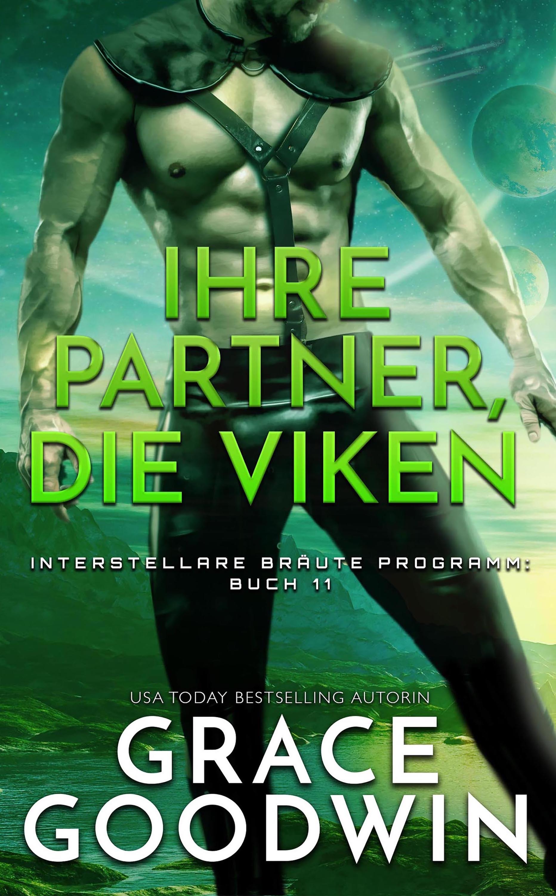 Обложка книги «Ihre Partner, die Viken»