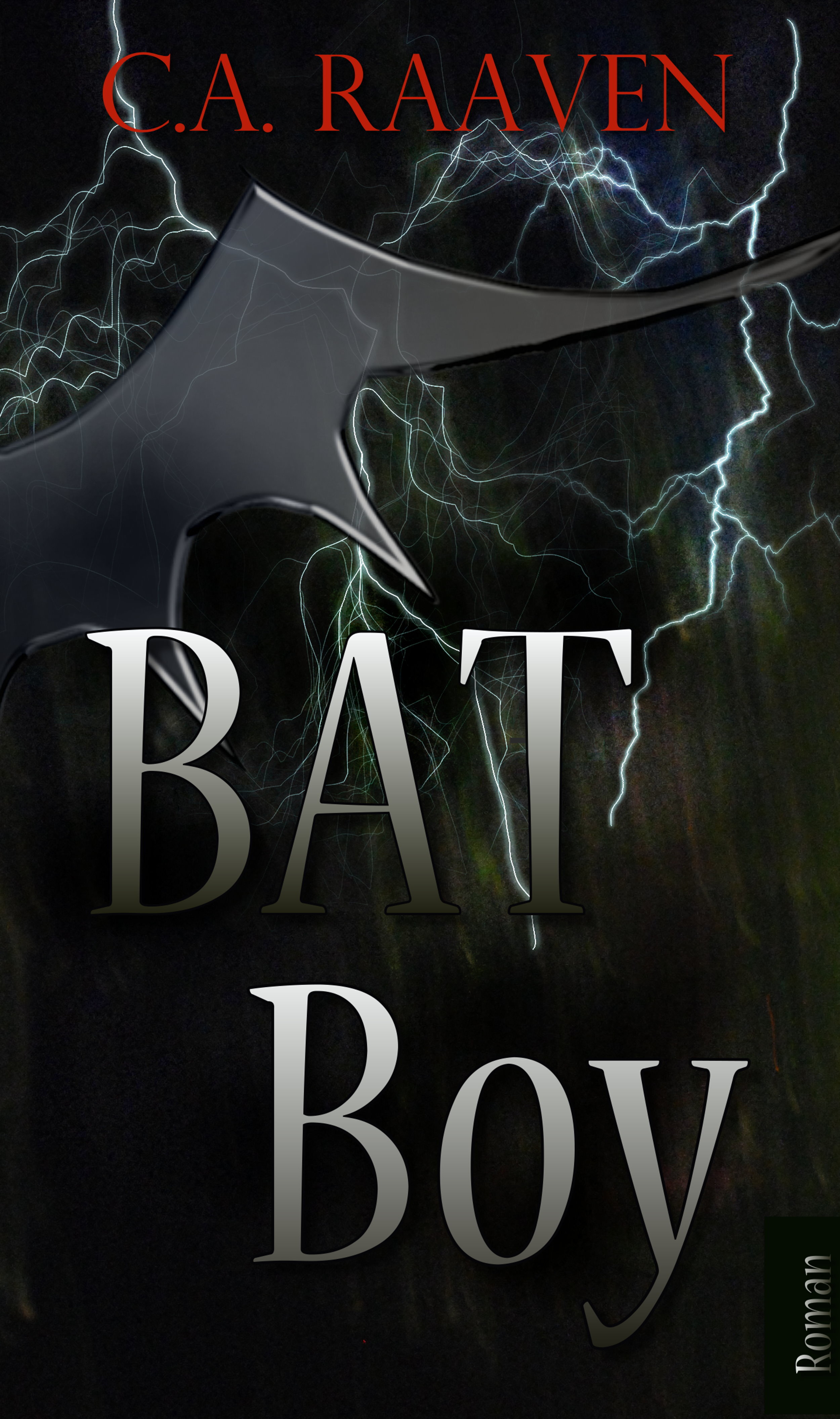 Обложка книги «BAT Boy»