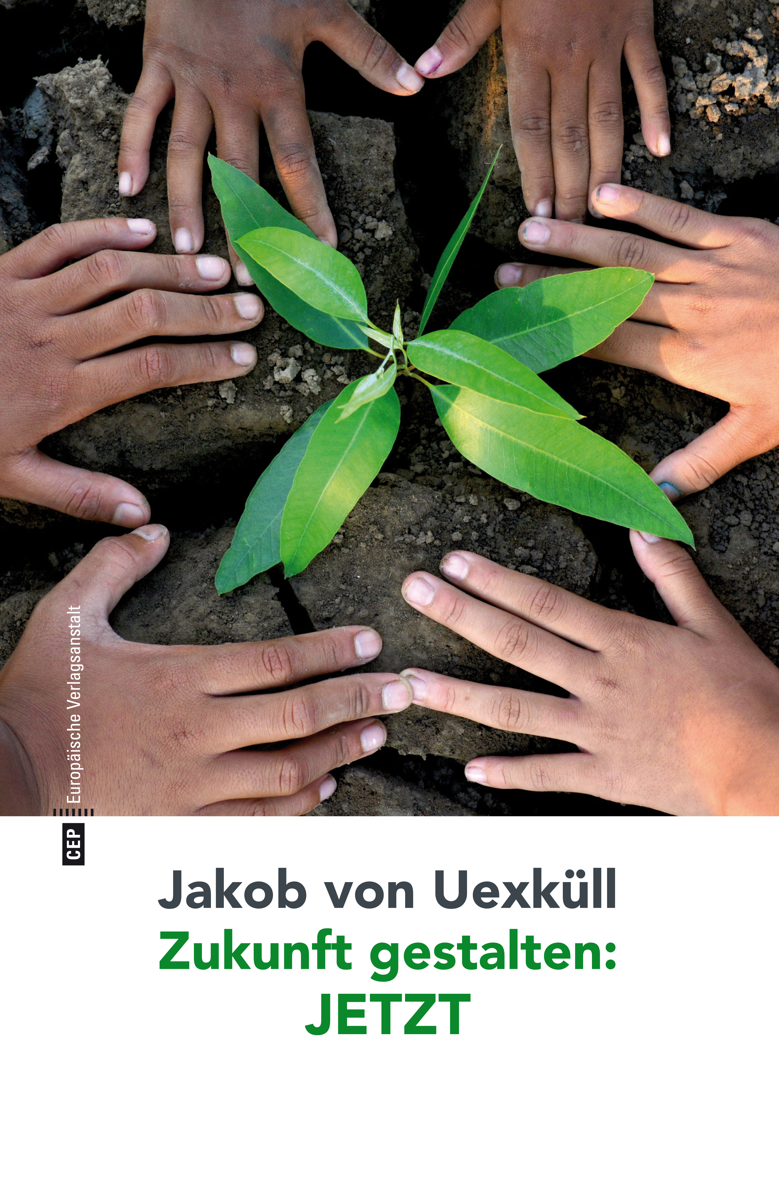 Обложка книги «Zukunft gestalten: JETZT»
