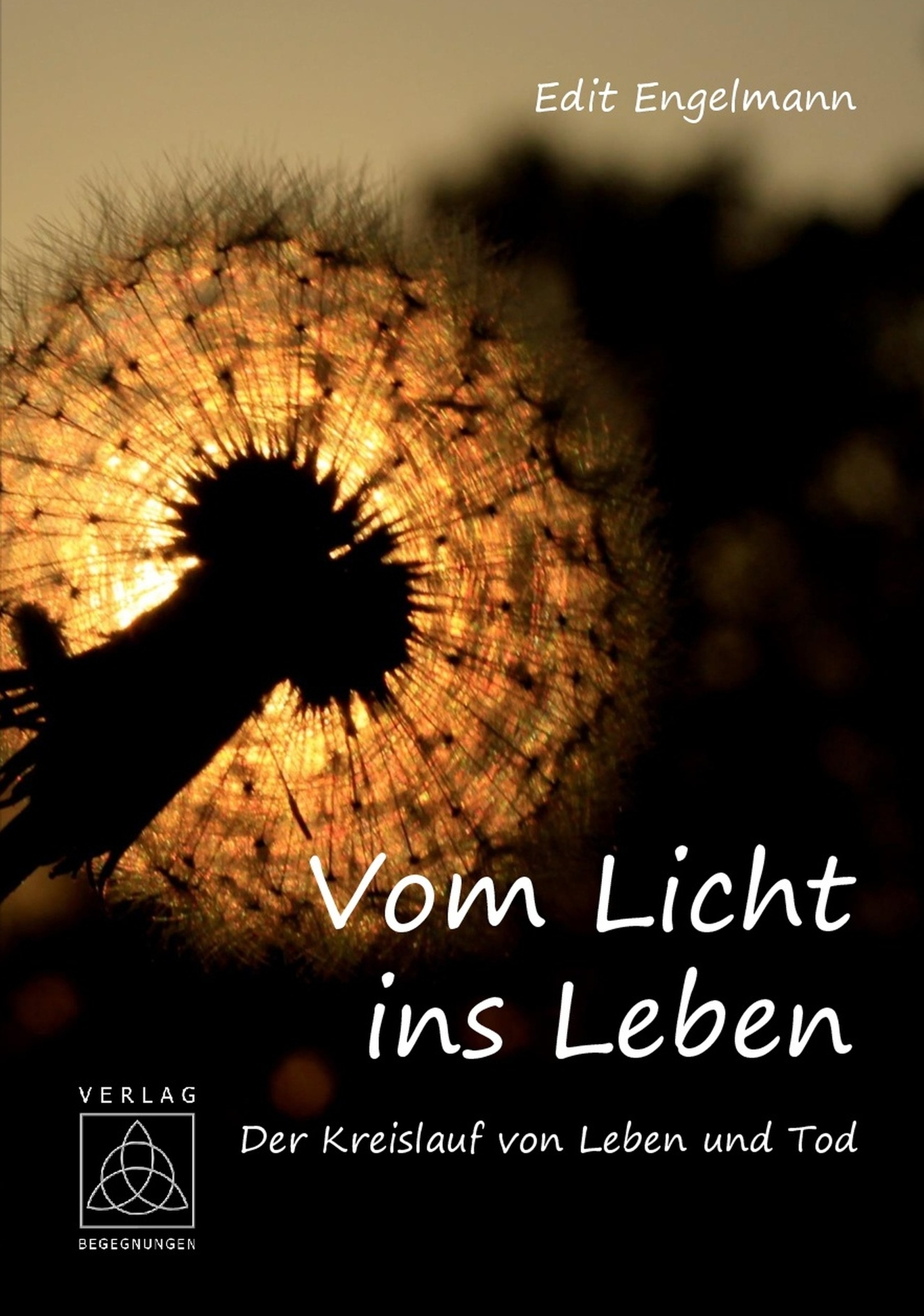Обложка книги «Vom Licht ins Leben»