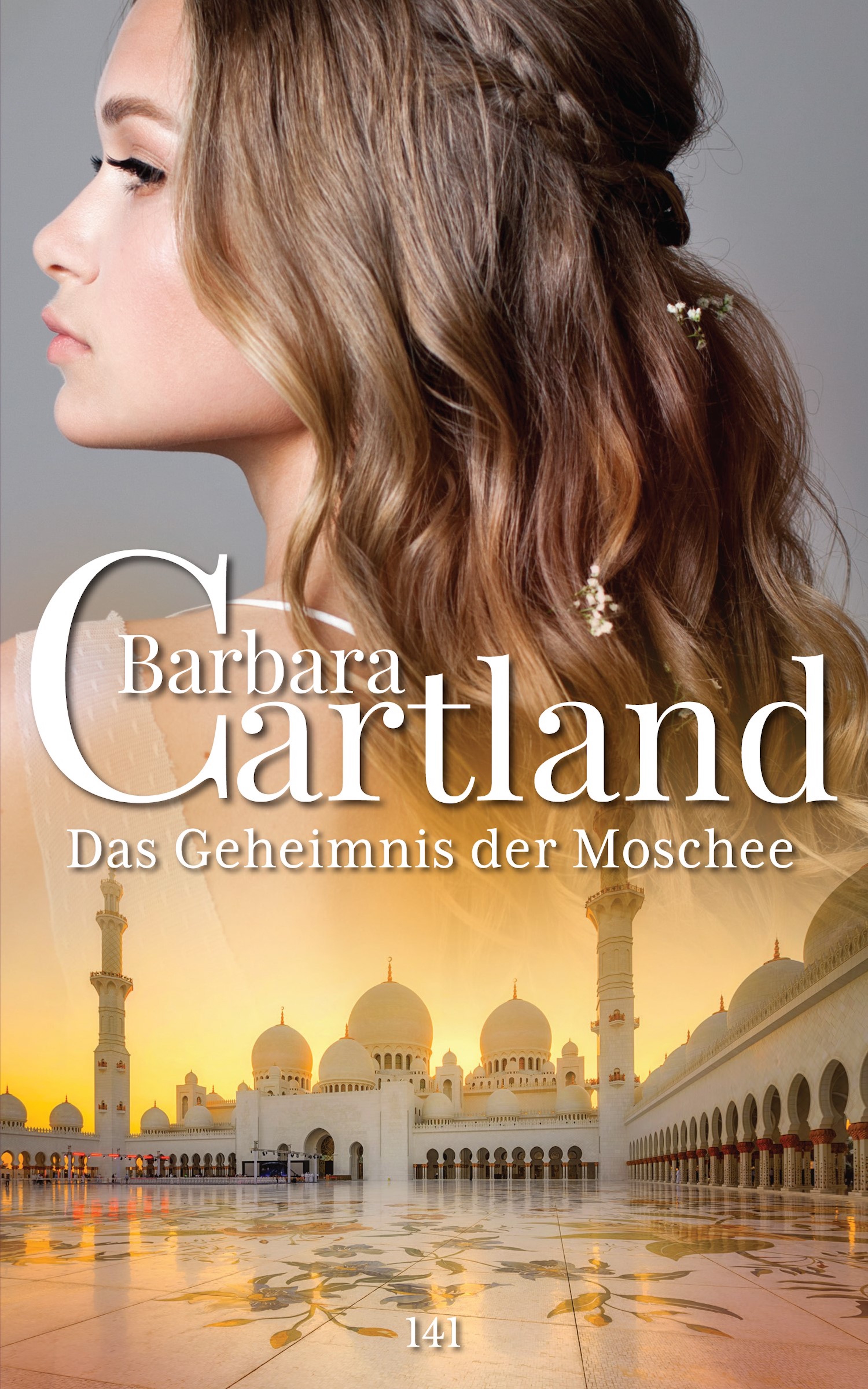 Обложка книги «141. Das Geheimnis der Moschee»