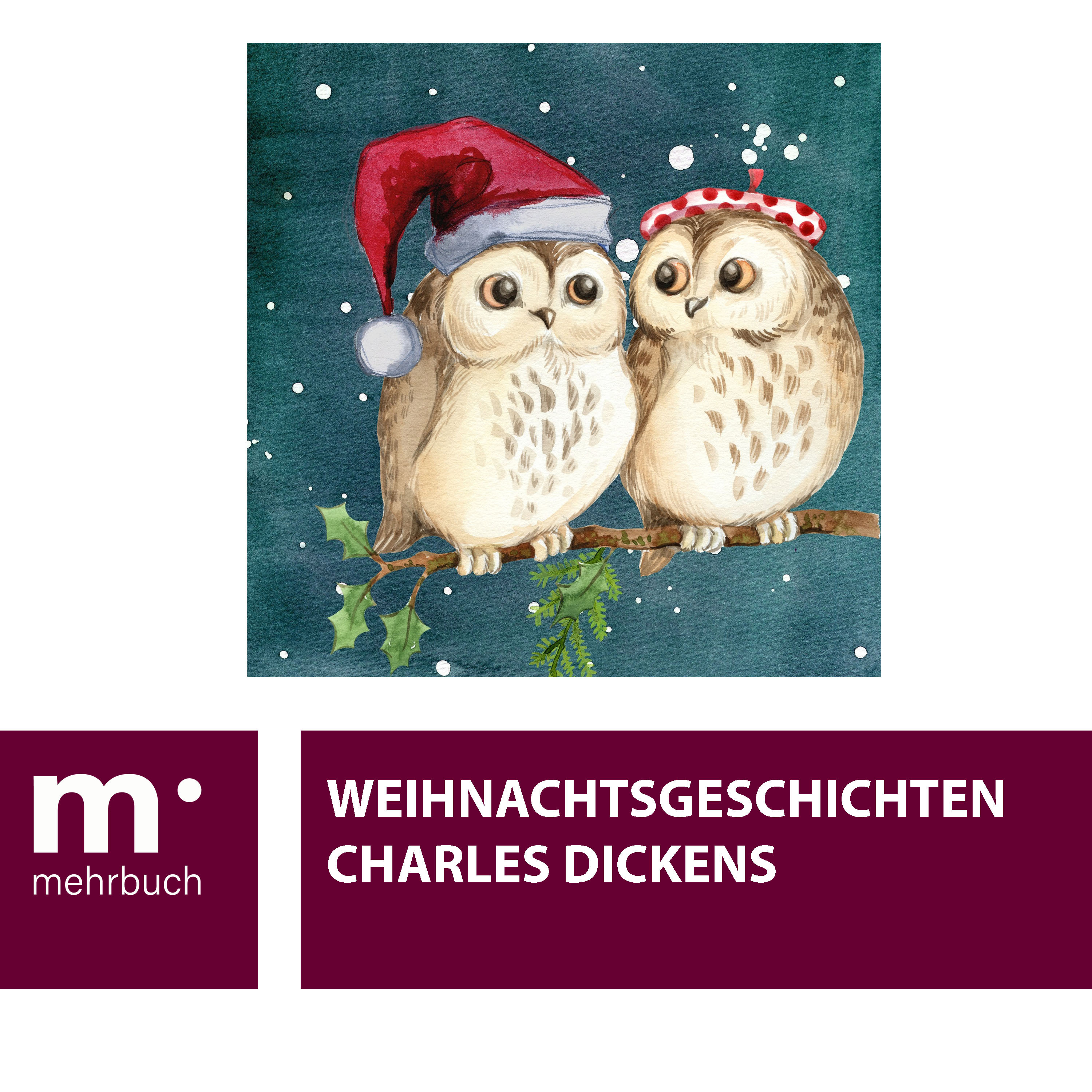 Обложка книги «Weihnachtsgeschichten»