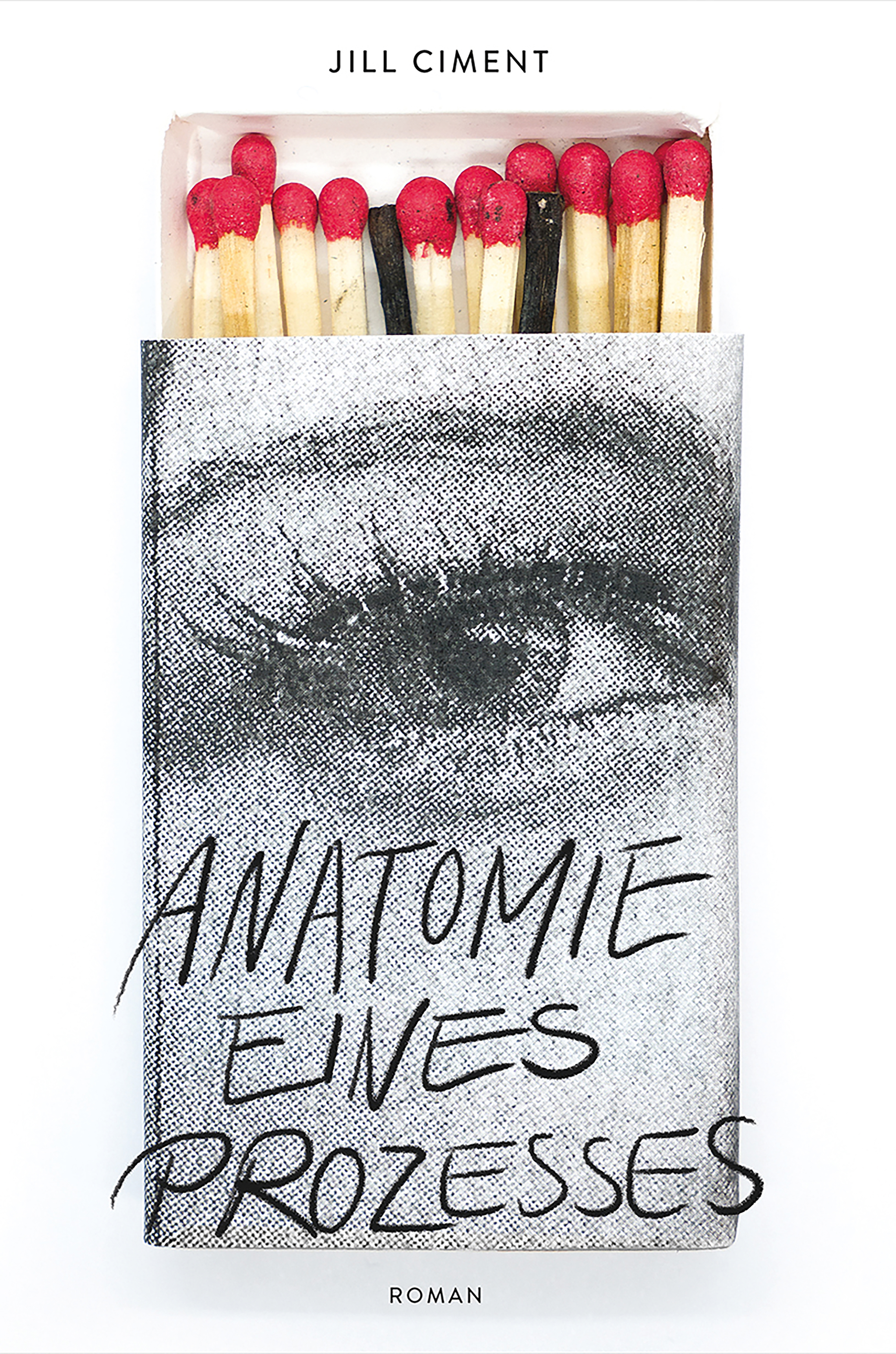 Обложка книги «Anatomie eines Prozesses (eBook)»
