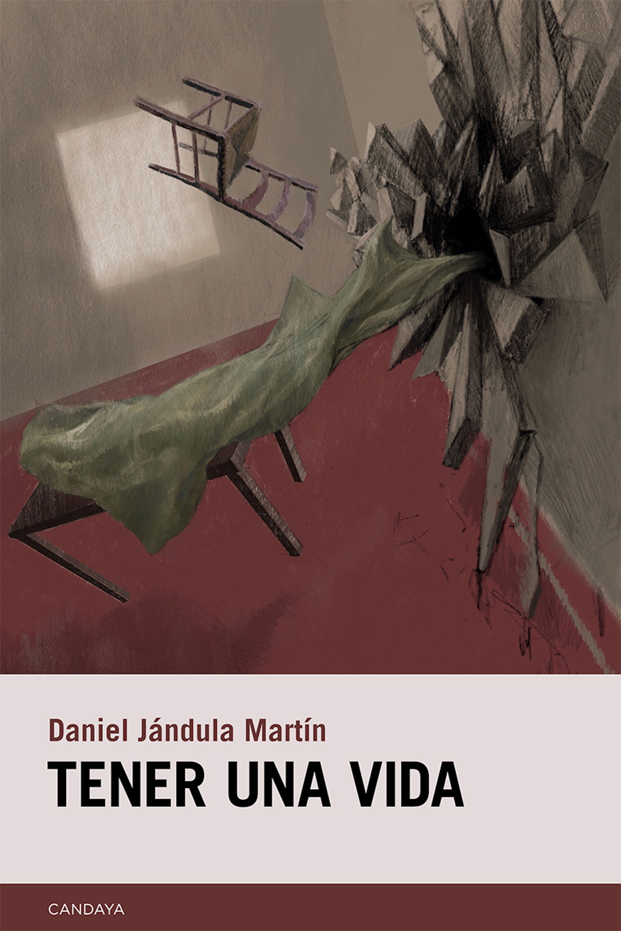 Обложка книги «Tener una vida»
