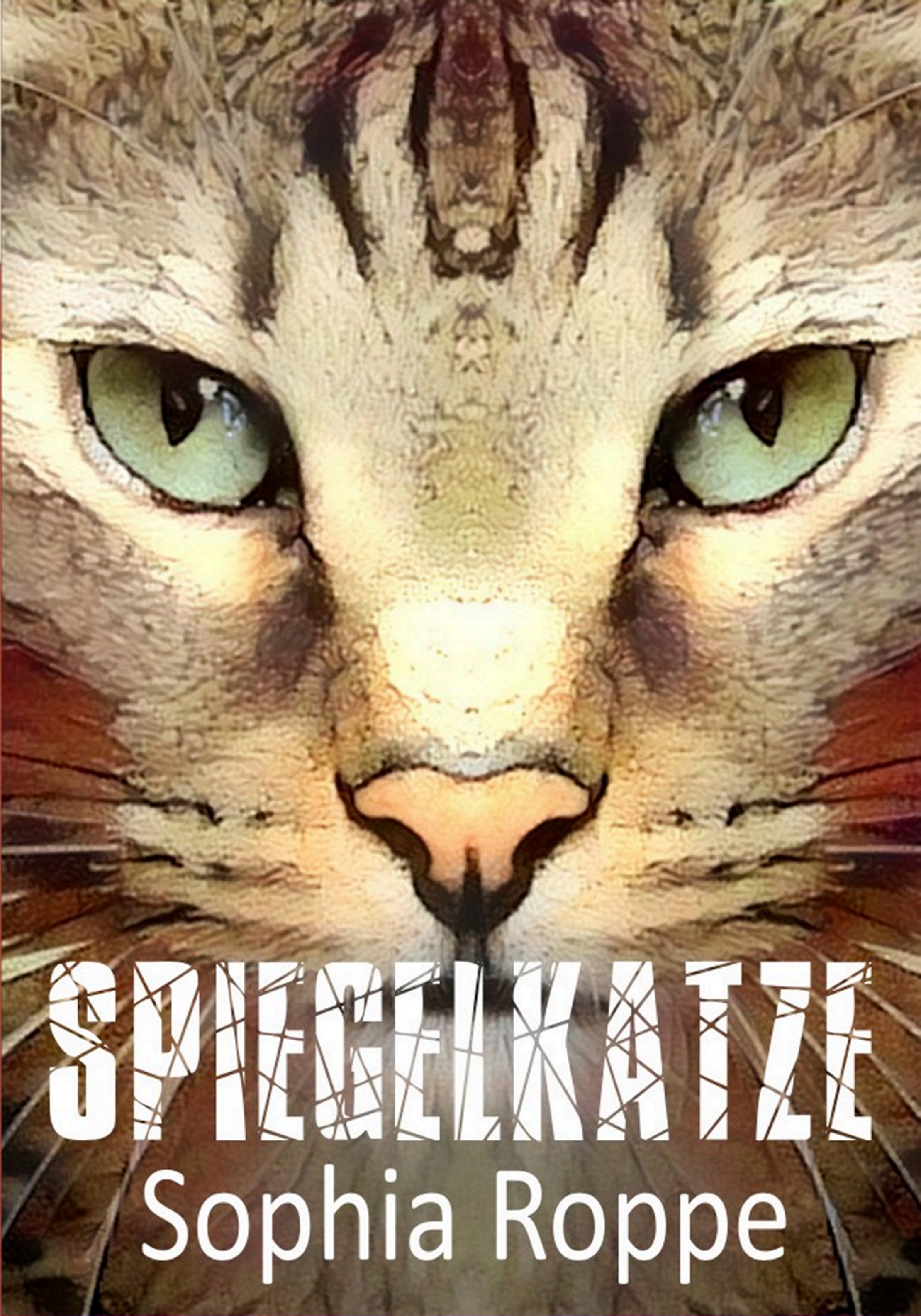 Обложка книги «Spiegelkatze»