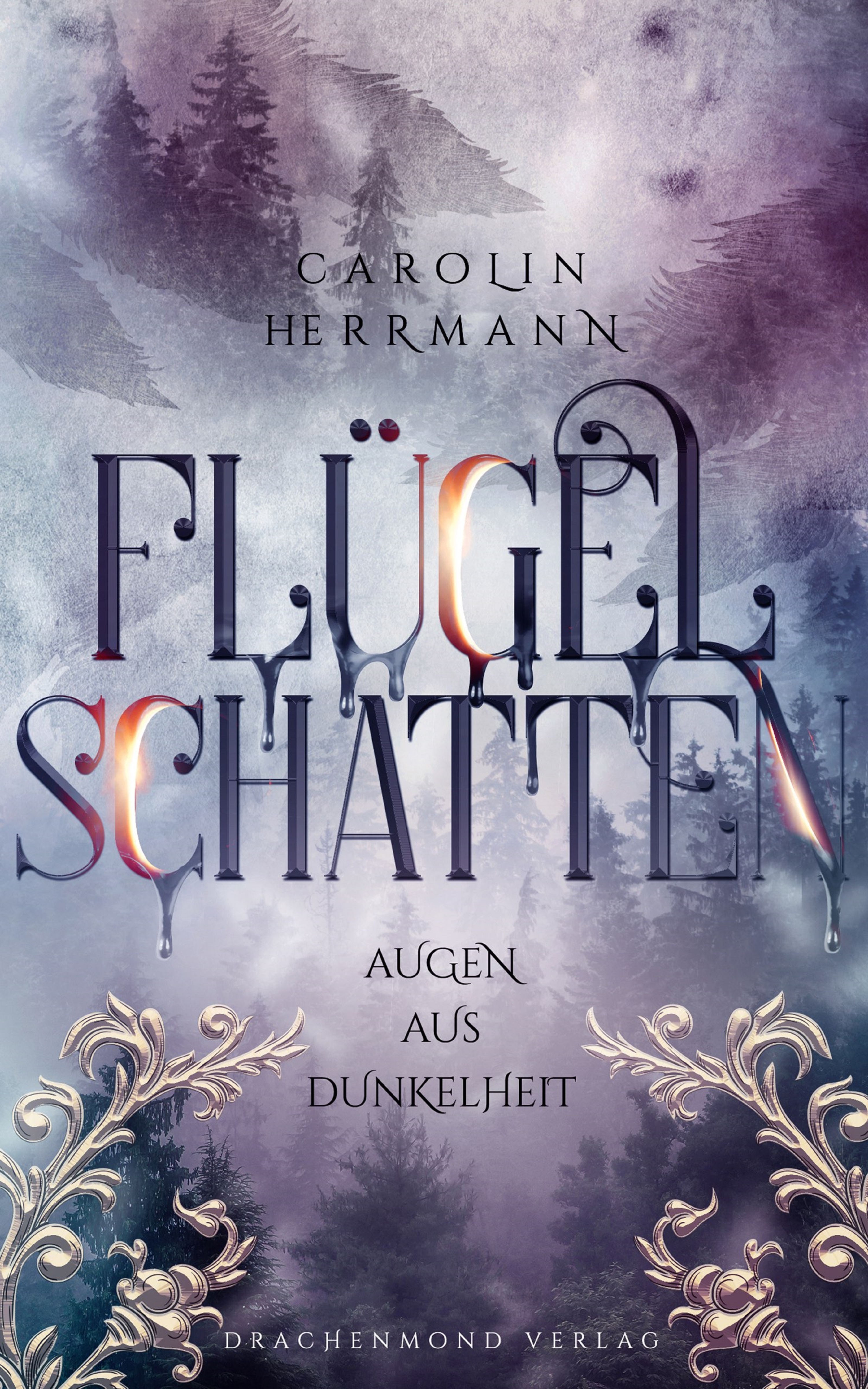 Обложка книги «Flügelschatten»