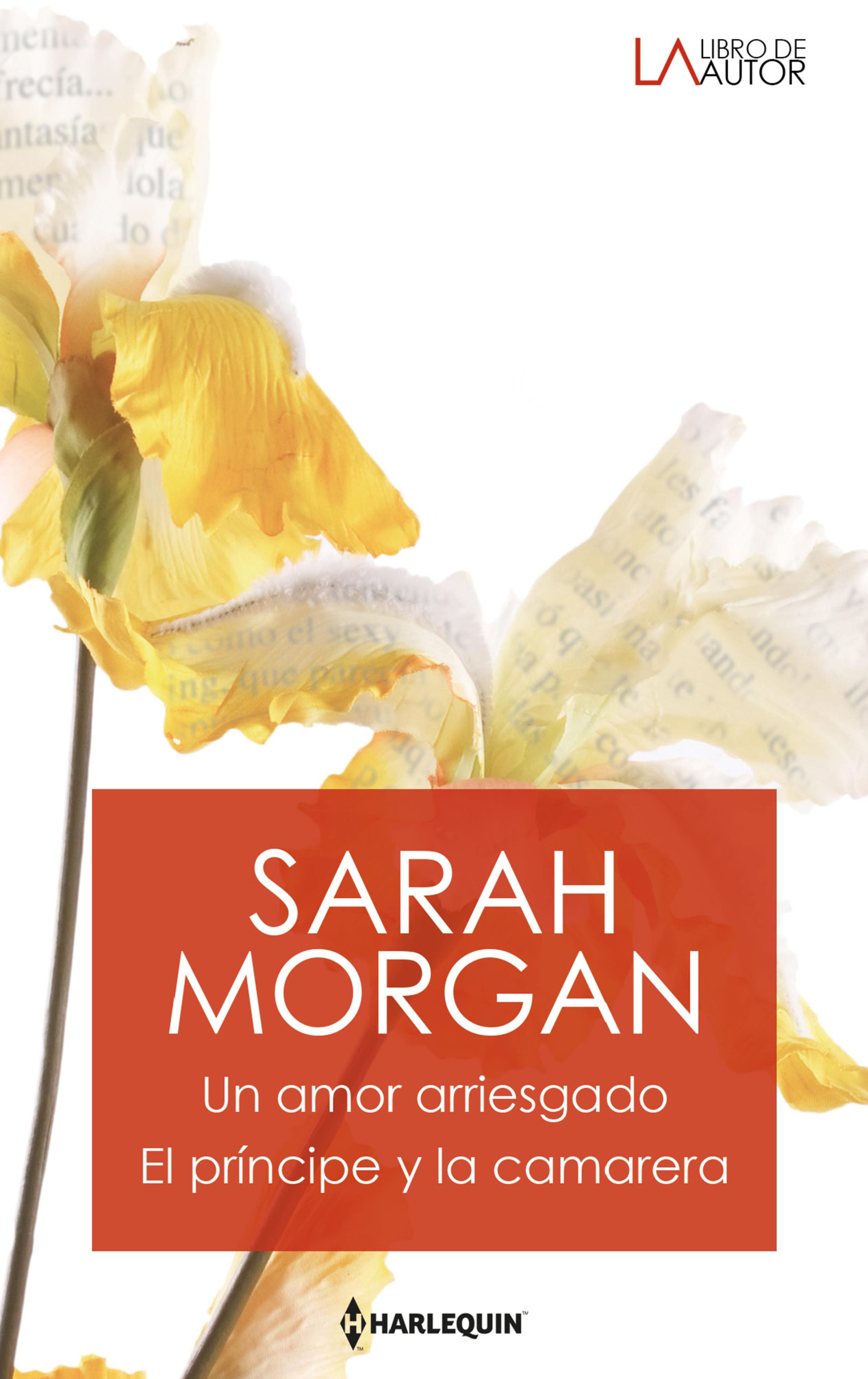 Обложка книги «Un amor arriesgado - El príncipe y la camarera»