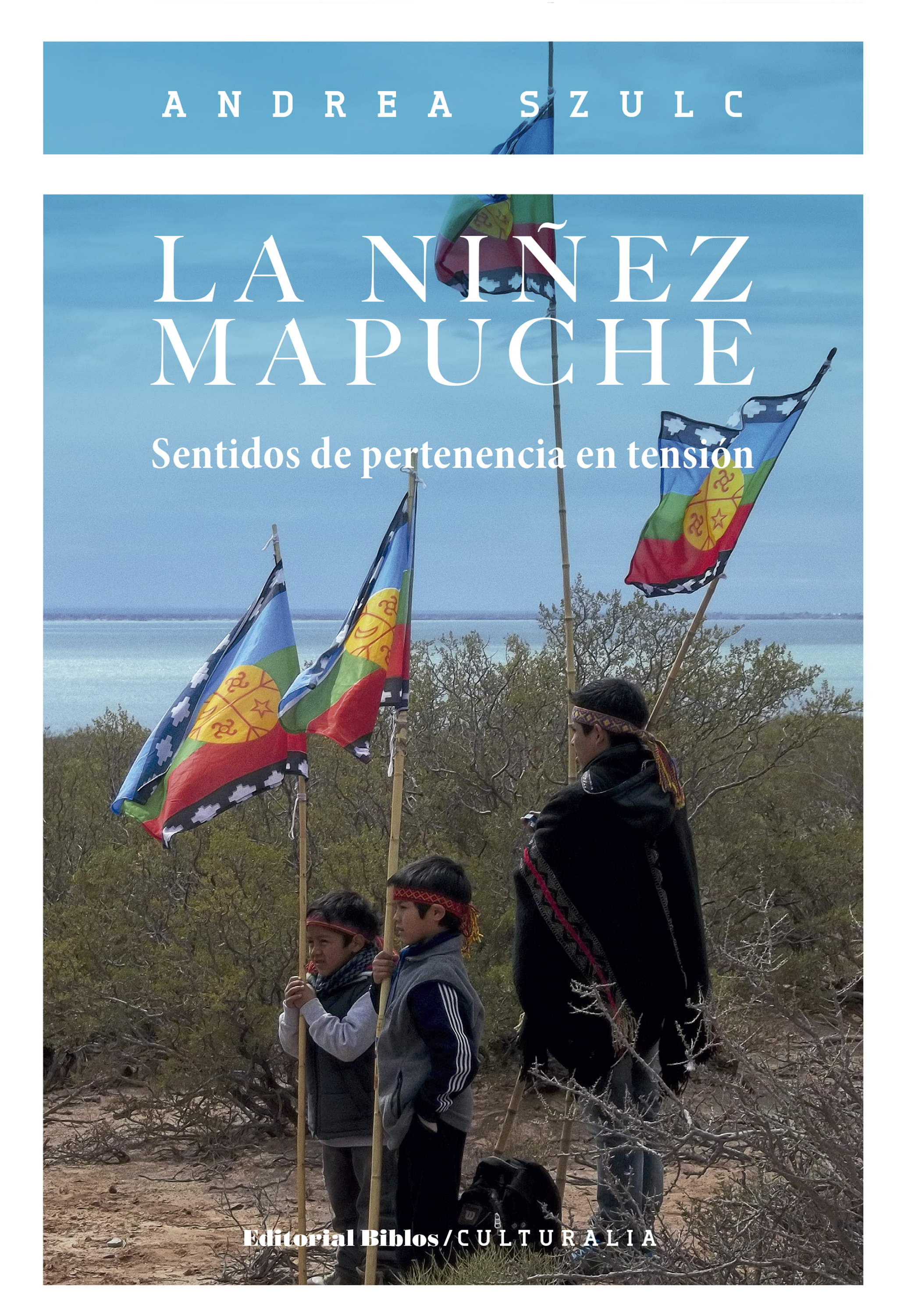 Обложка книги «La niñez mapuche»
