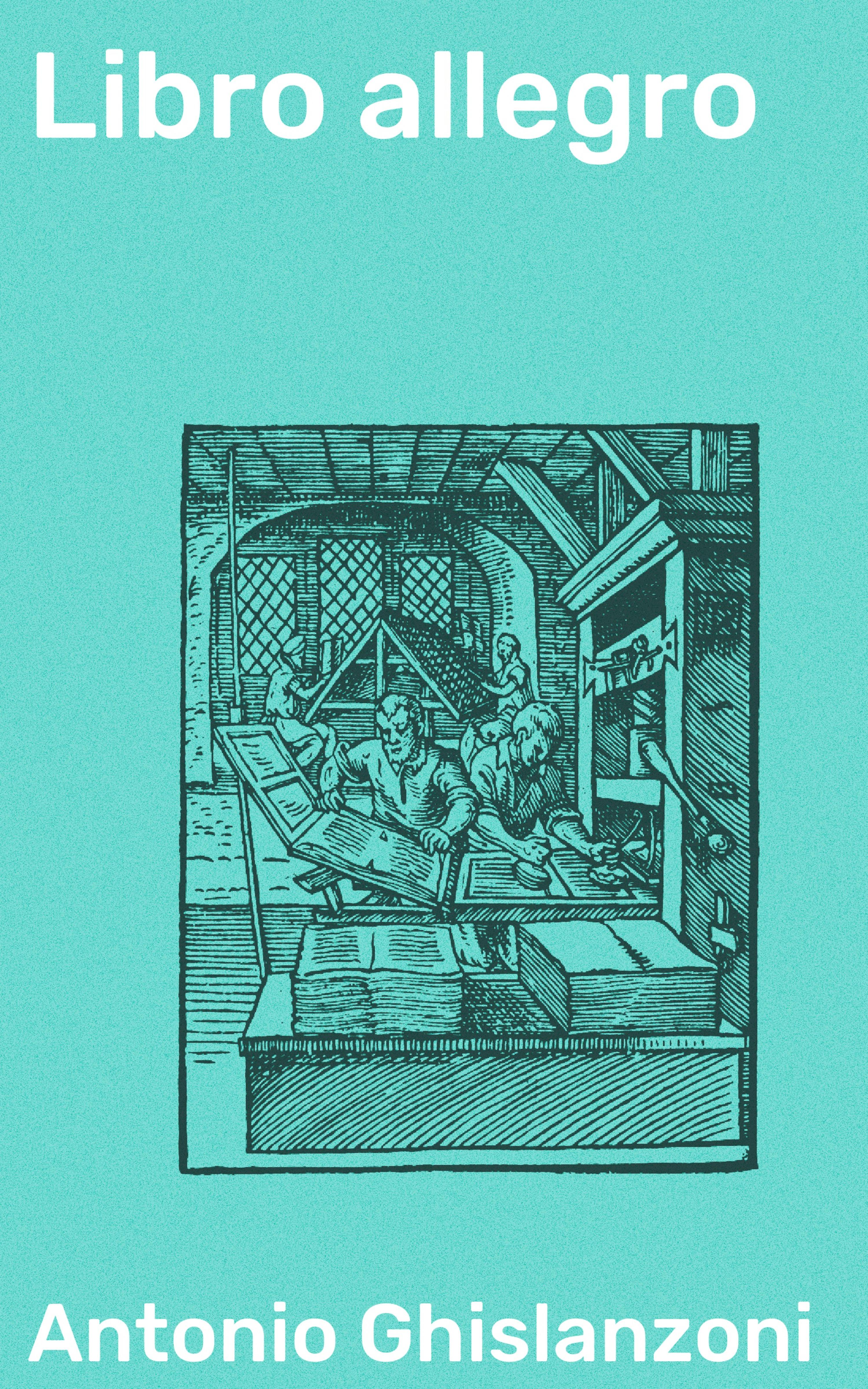 Обложка книги «Libro allegro»