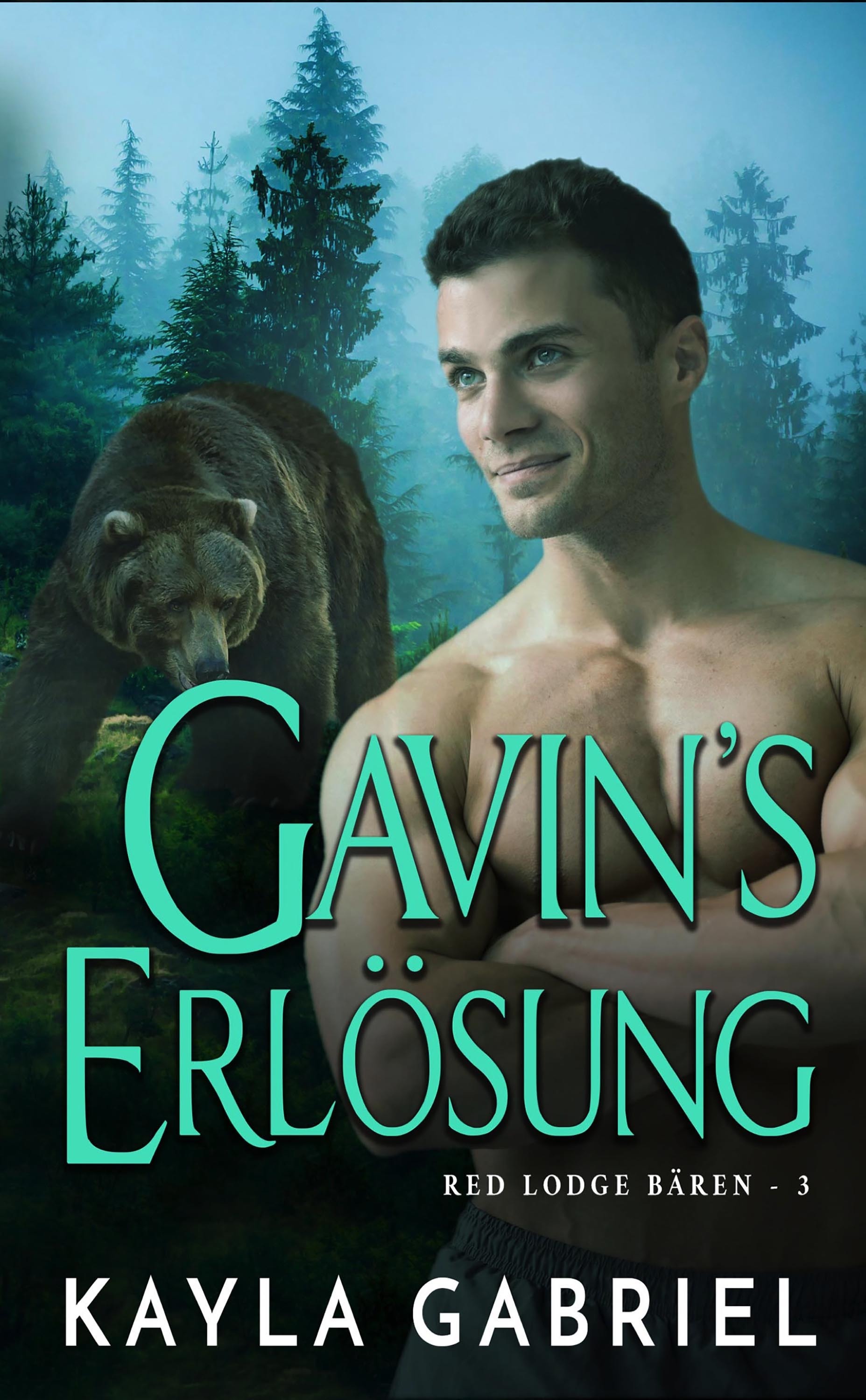 Обложка книги «Gavin's Erlösung»