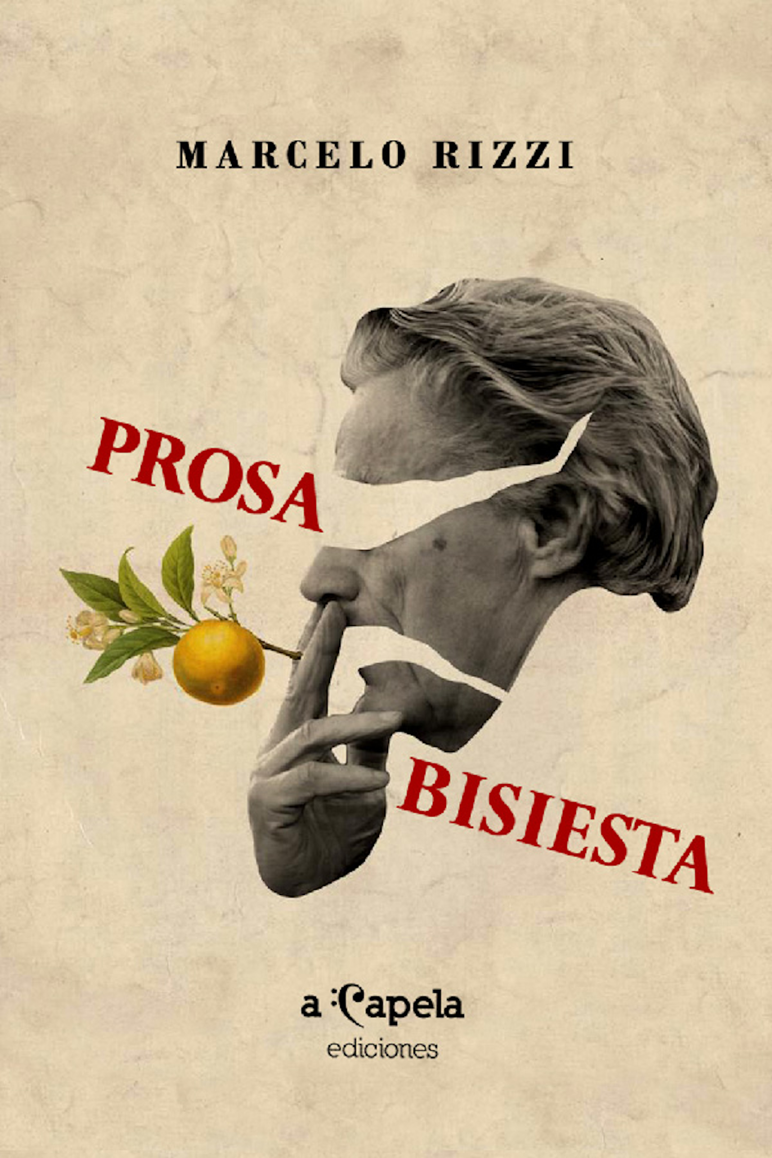 Обложка книги «Prosa bisiesta»