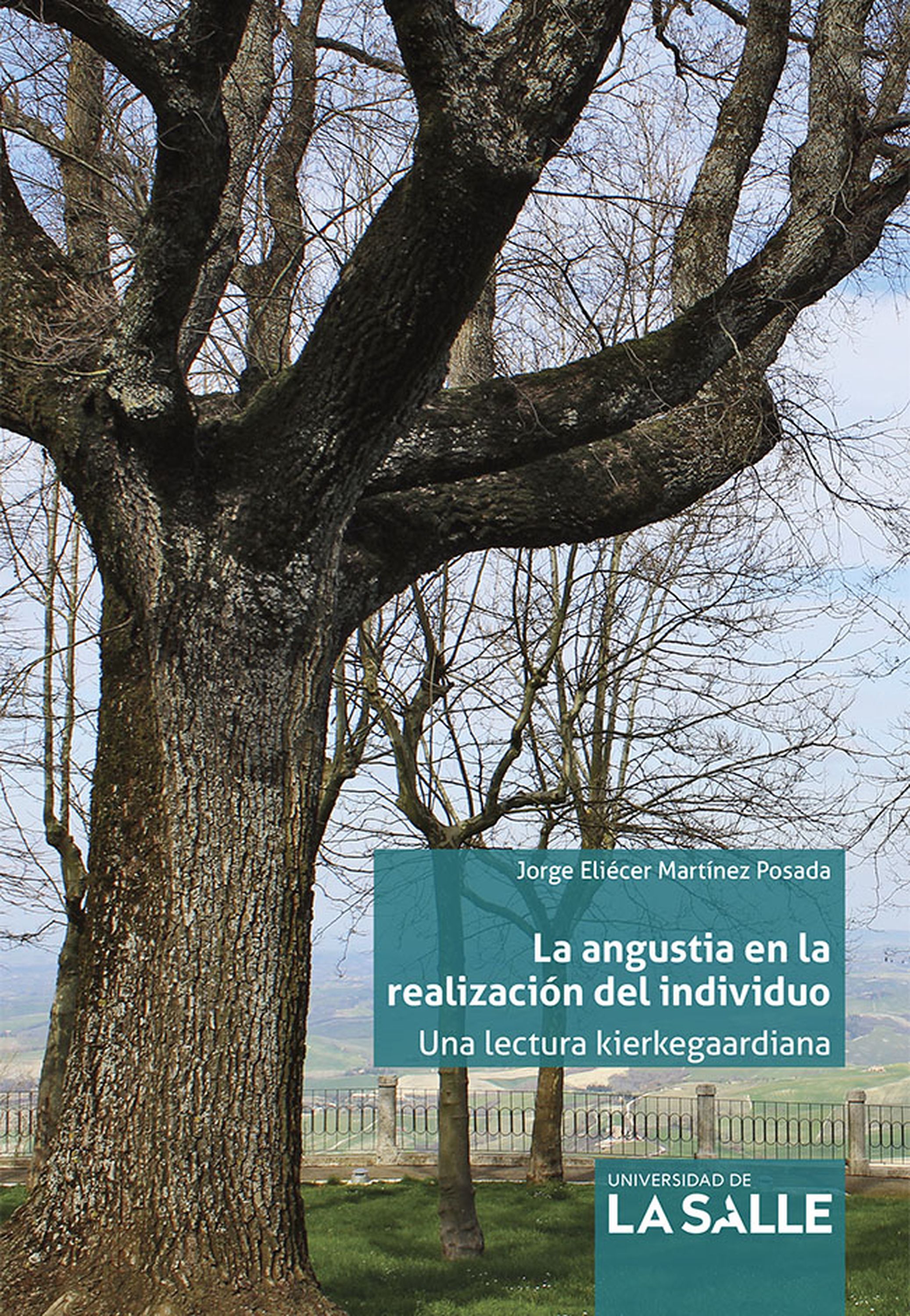 Обложка книги «La angustia en la realización del individuo»