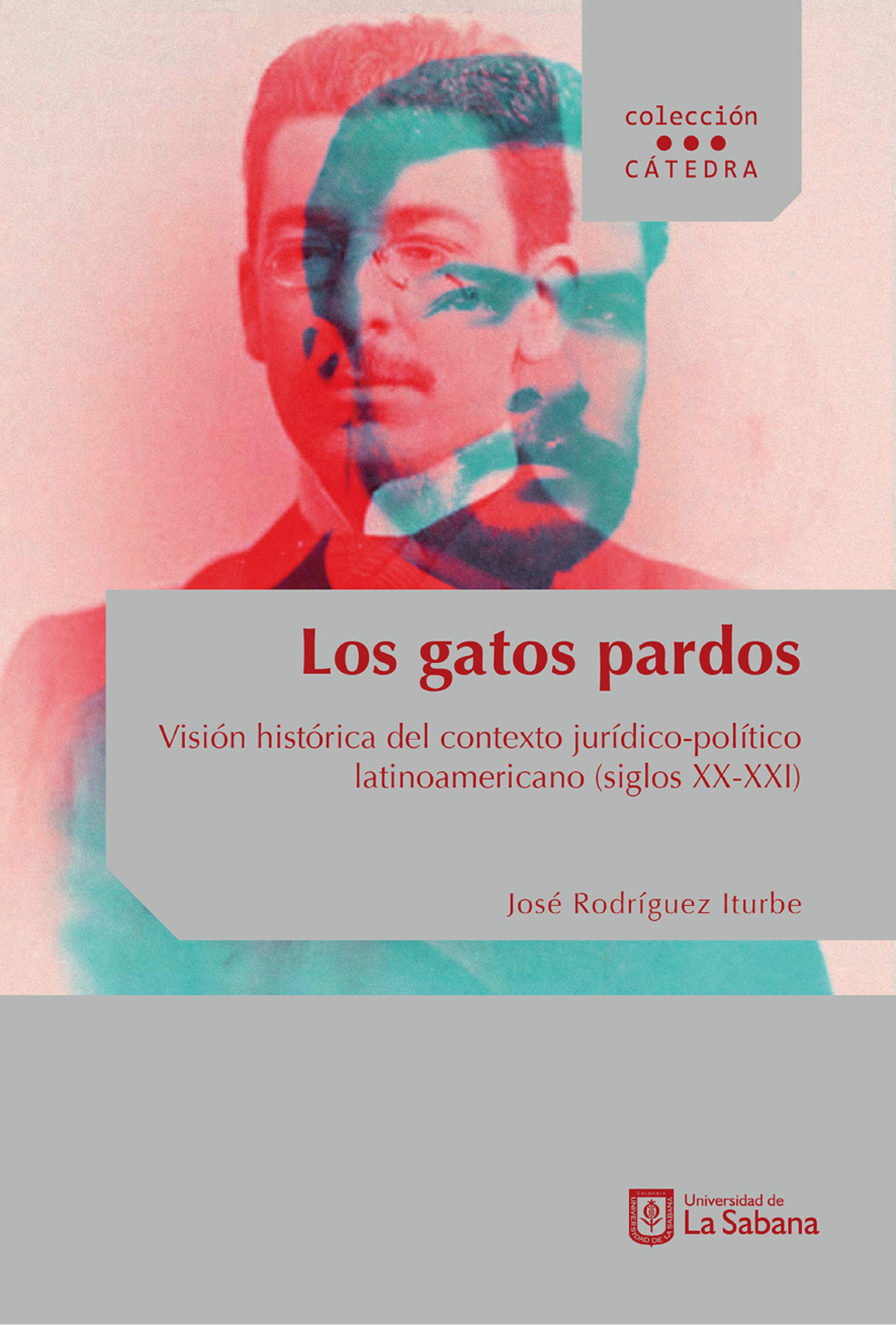 Обложка книги «Los gatos pardos»