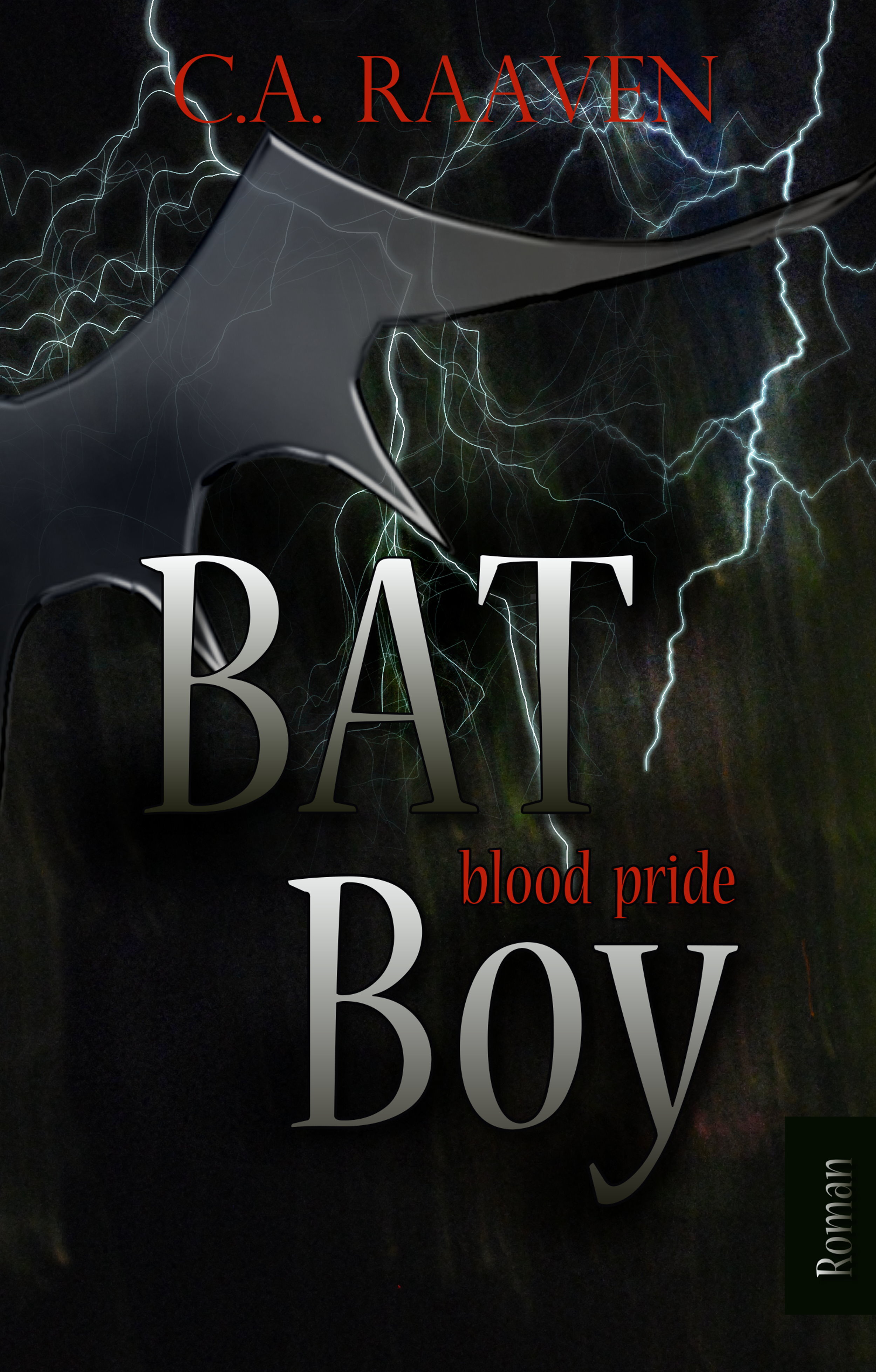 Обложка книги «BAT Boy 2»
