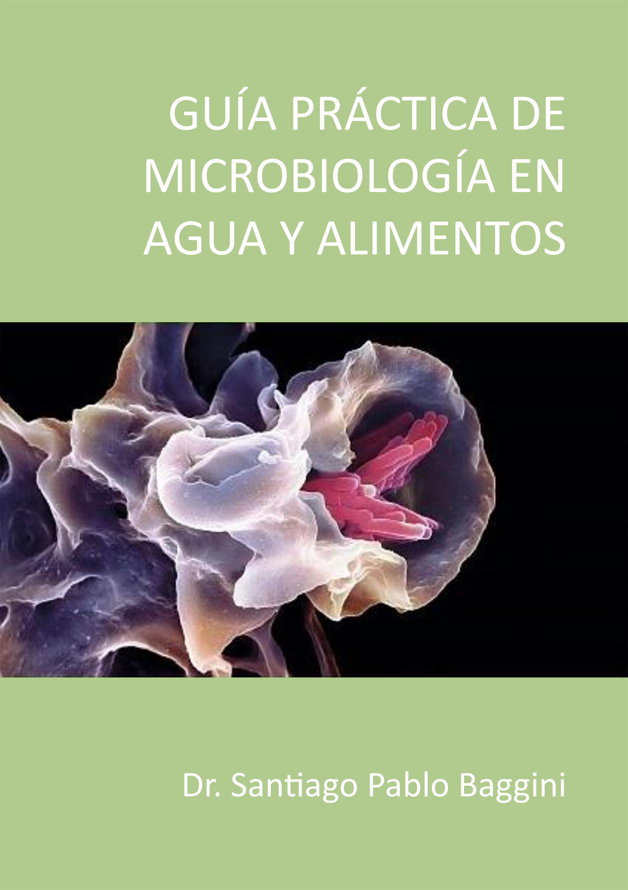 Обложка книги «Guía Practica de microbiología en agua y alimentos»