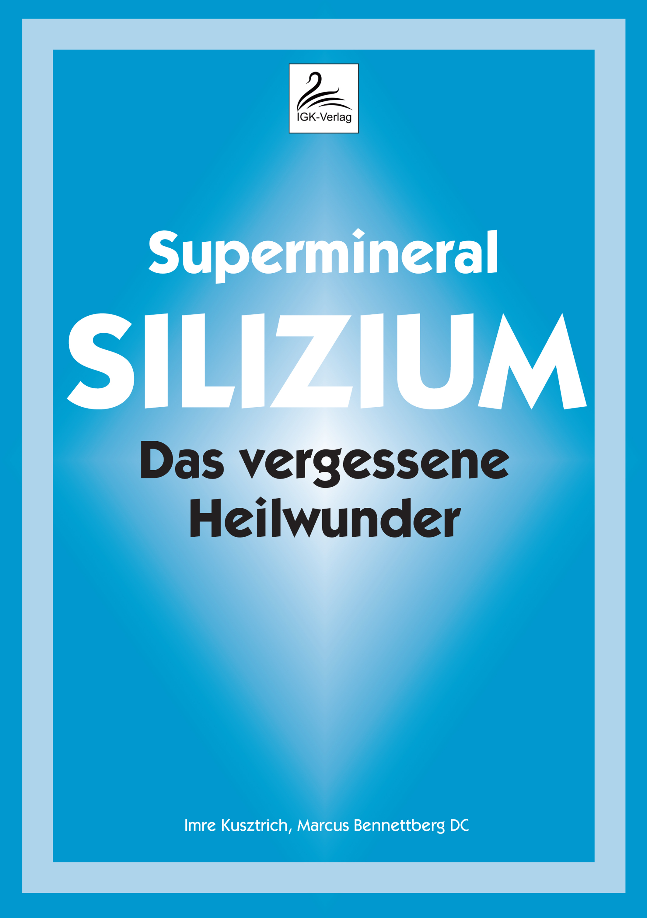 Обложка книги «Supermineral Silizium»