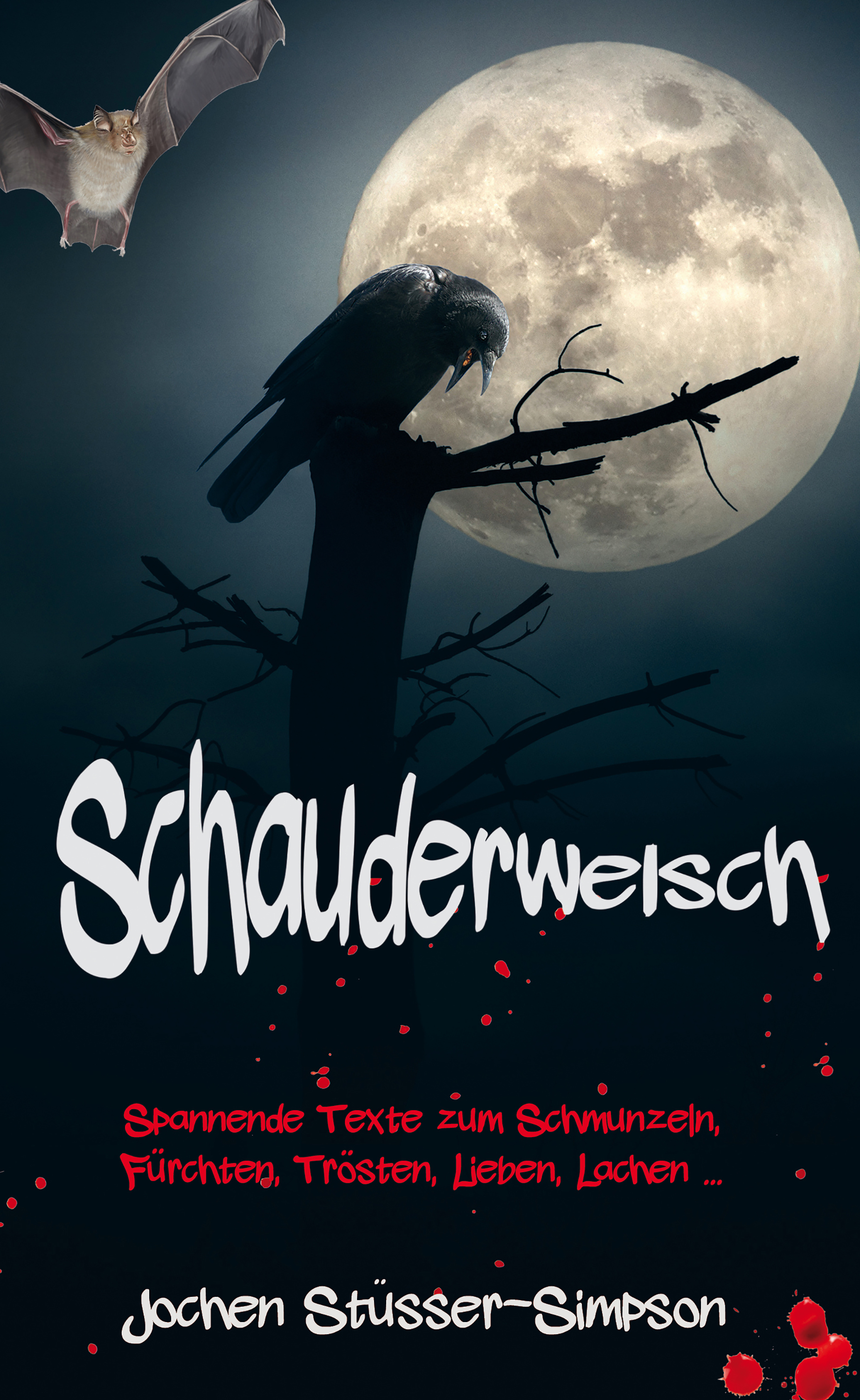 Обложка книги «Schauderwelsch»