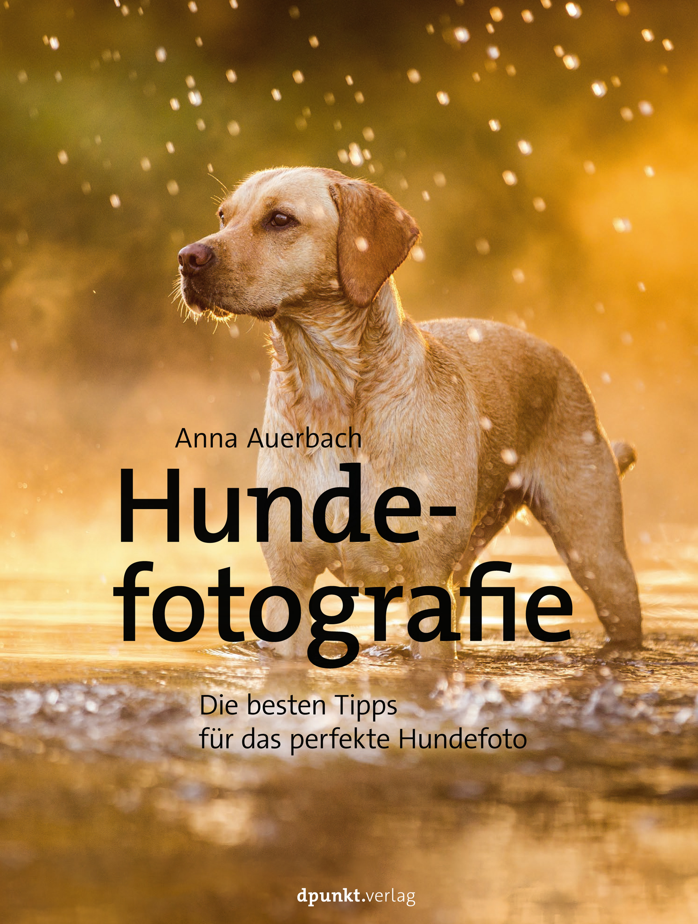 Обложка книги «Hundefotografie»