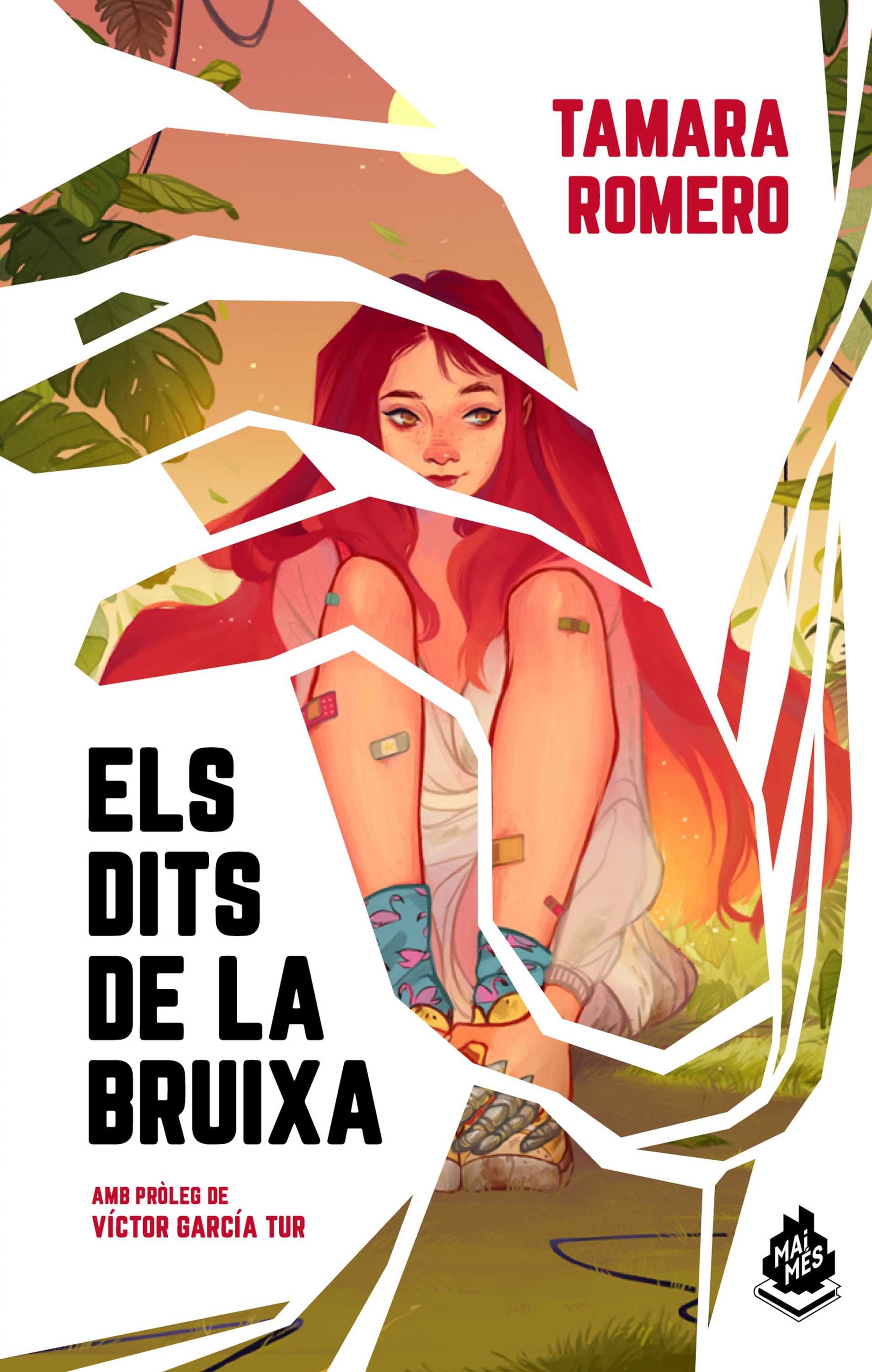 Обложка книги «Els dits de la bruixa»