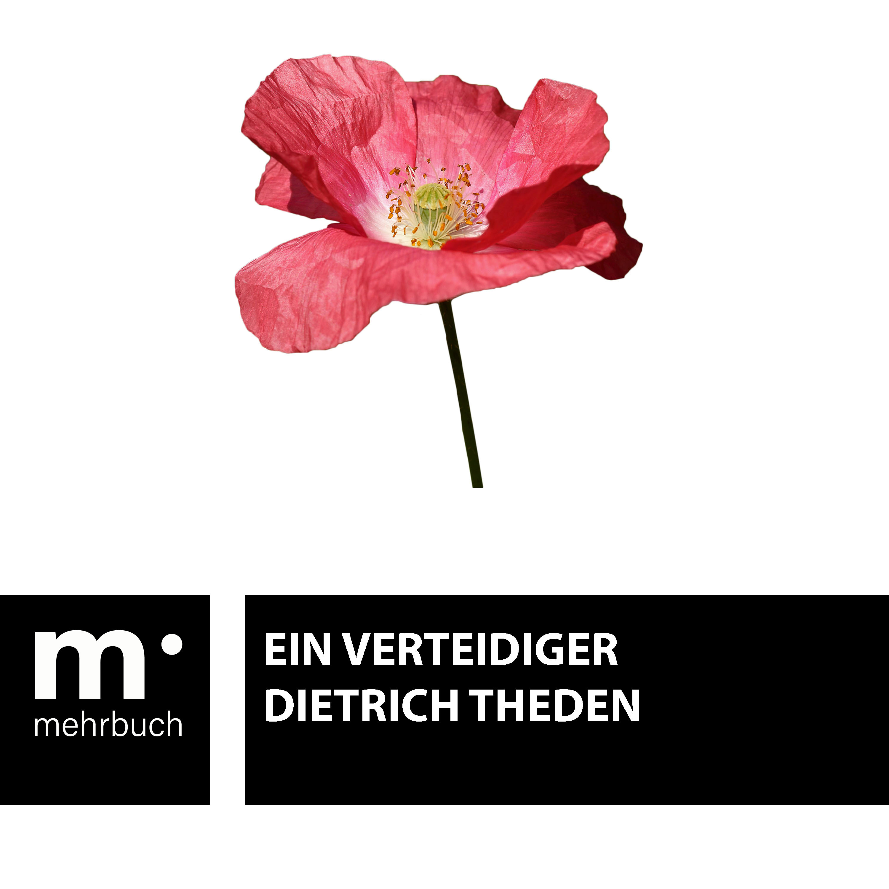 Обложка книги «Ein Verteidiger»