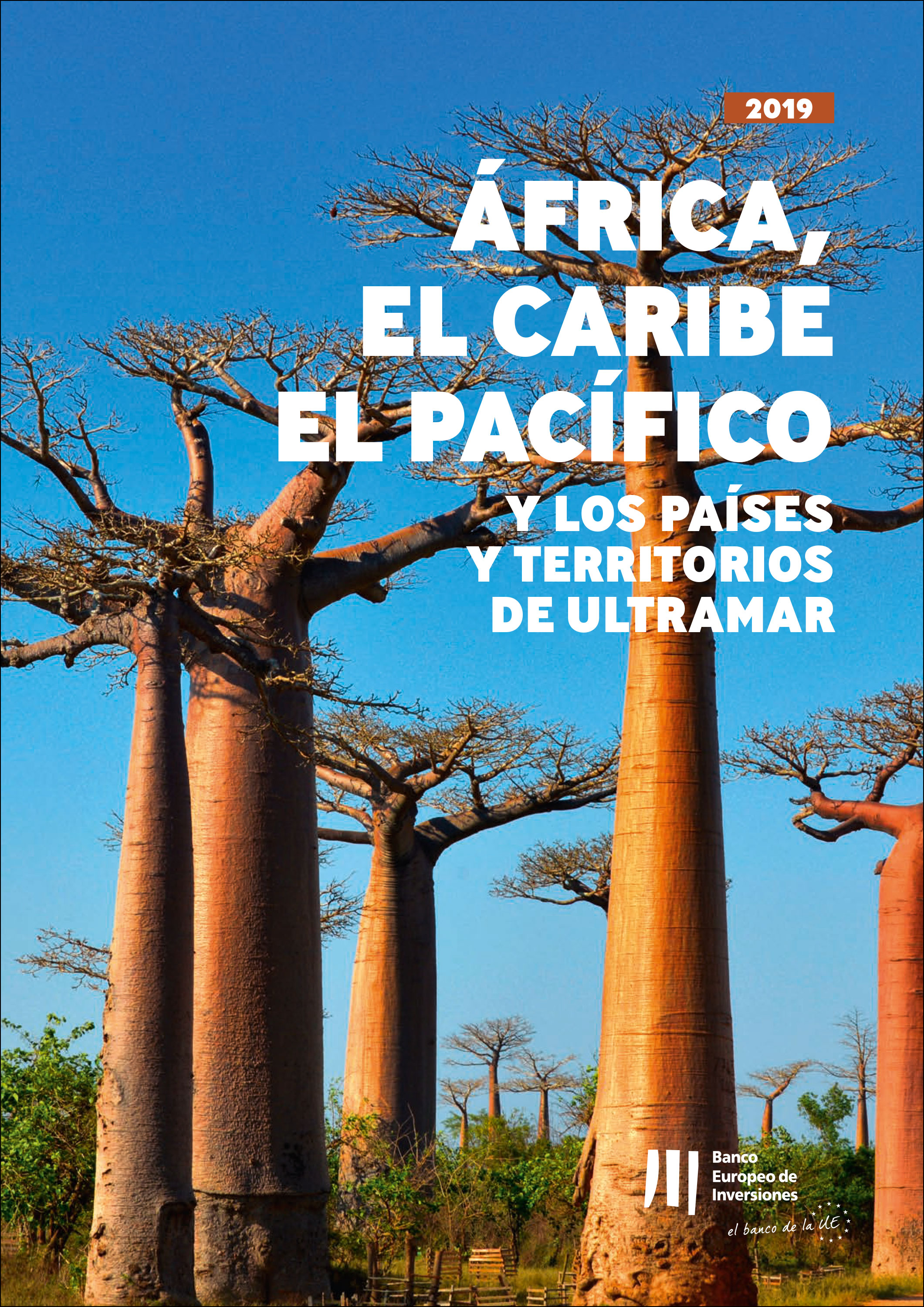 Обложка книги «Actividad del BEI en África, el Caribe, el Pacífico y en los Países y Territorios de Ultramar»
