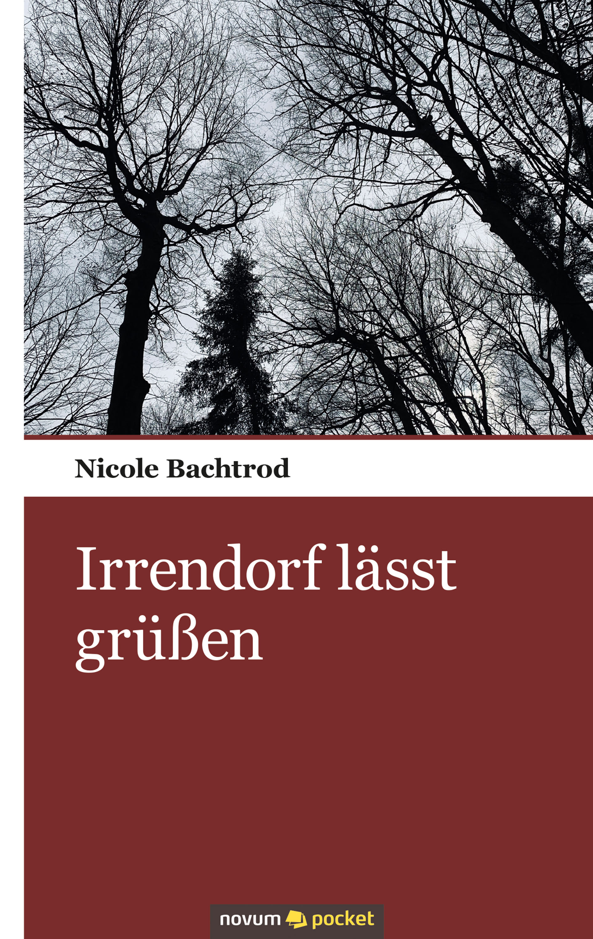 Обложка книги «Irrendorf lässt grüßen»